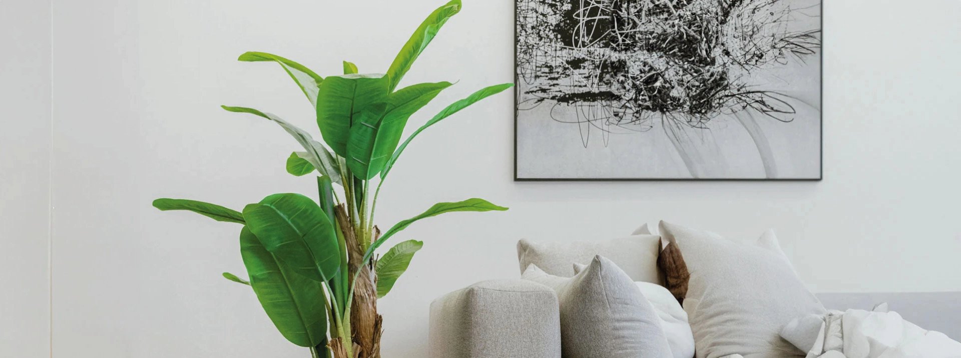 Plantas Artificiales, Plantas decorativas