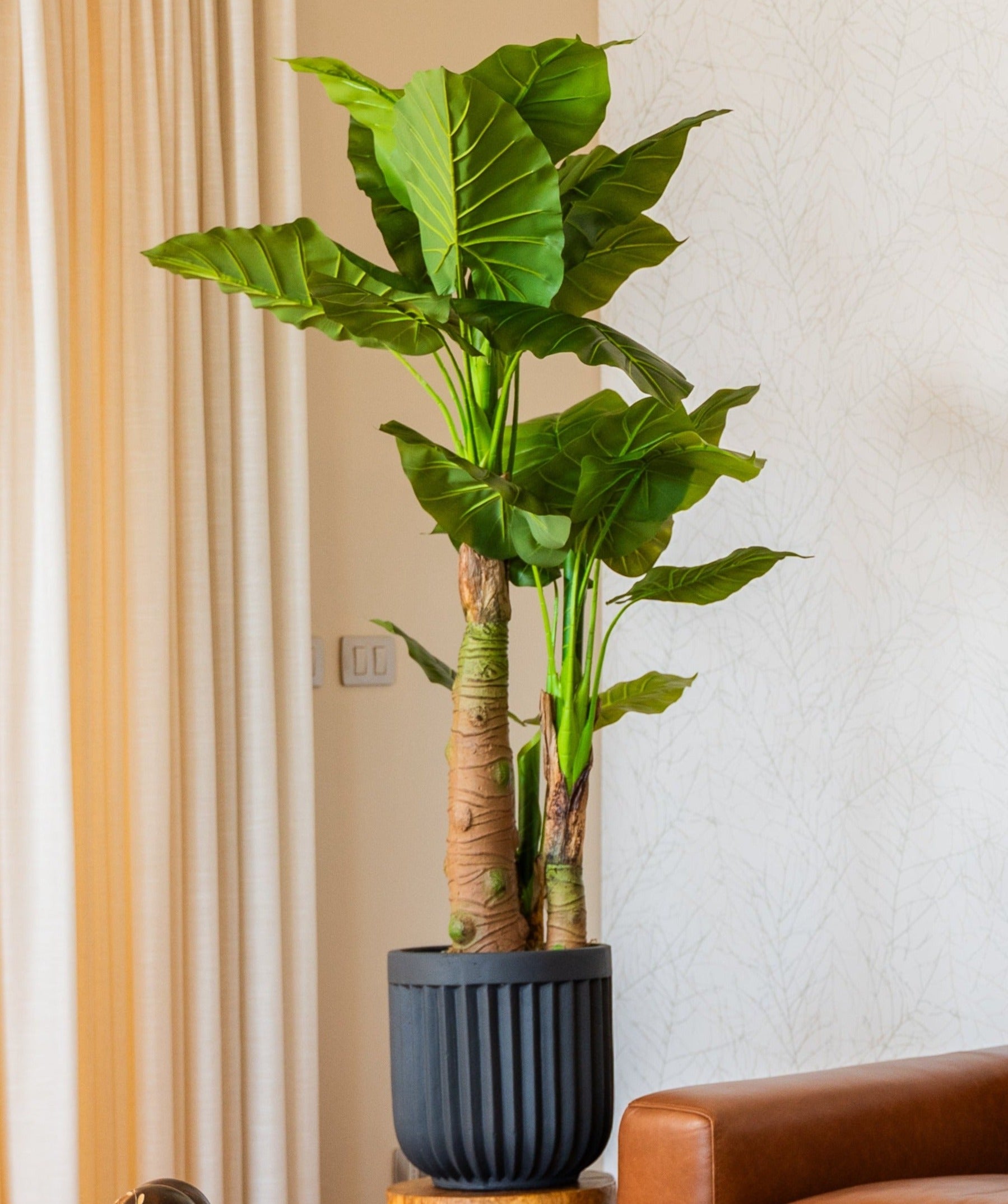 Planta taro artificial