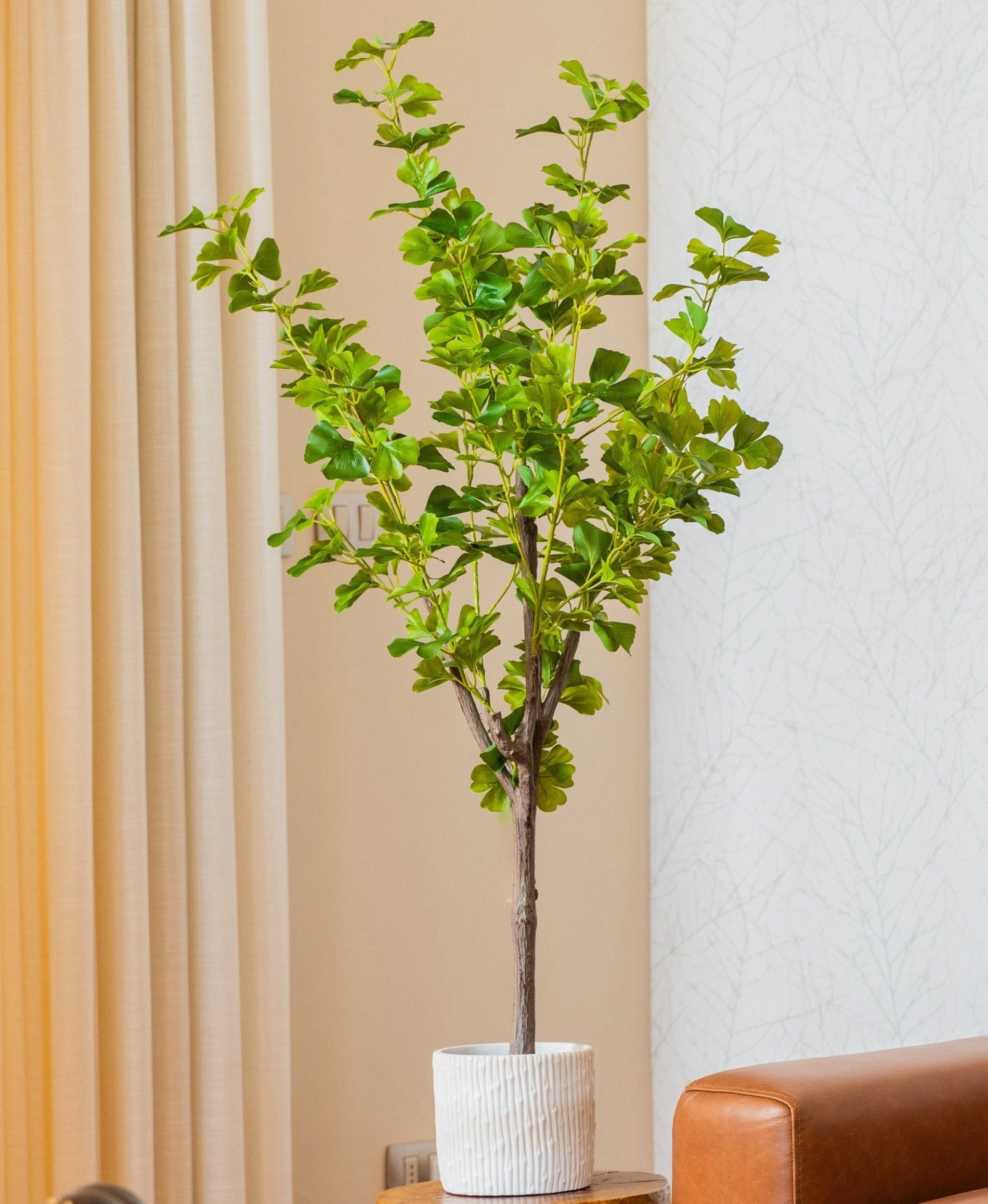 Ginkgo artificial
