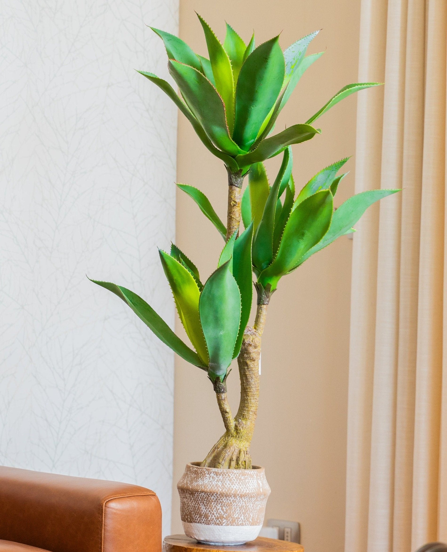 Agave artificial