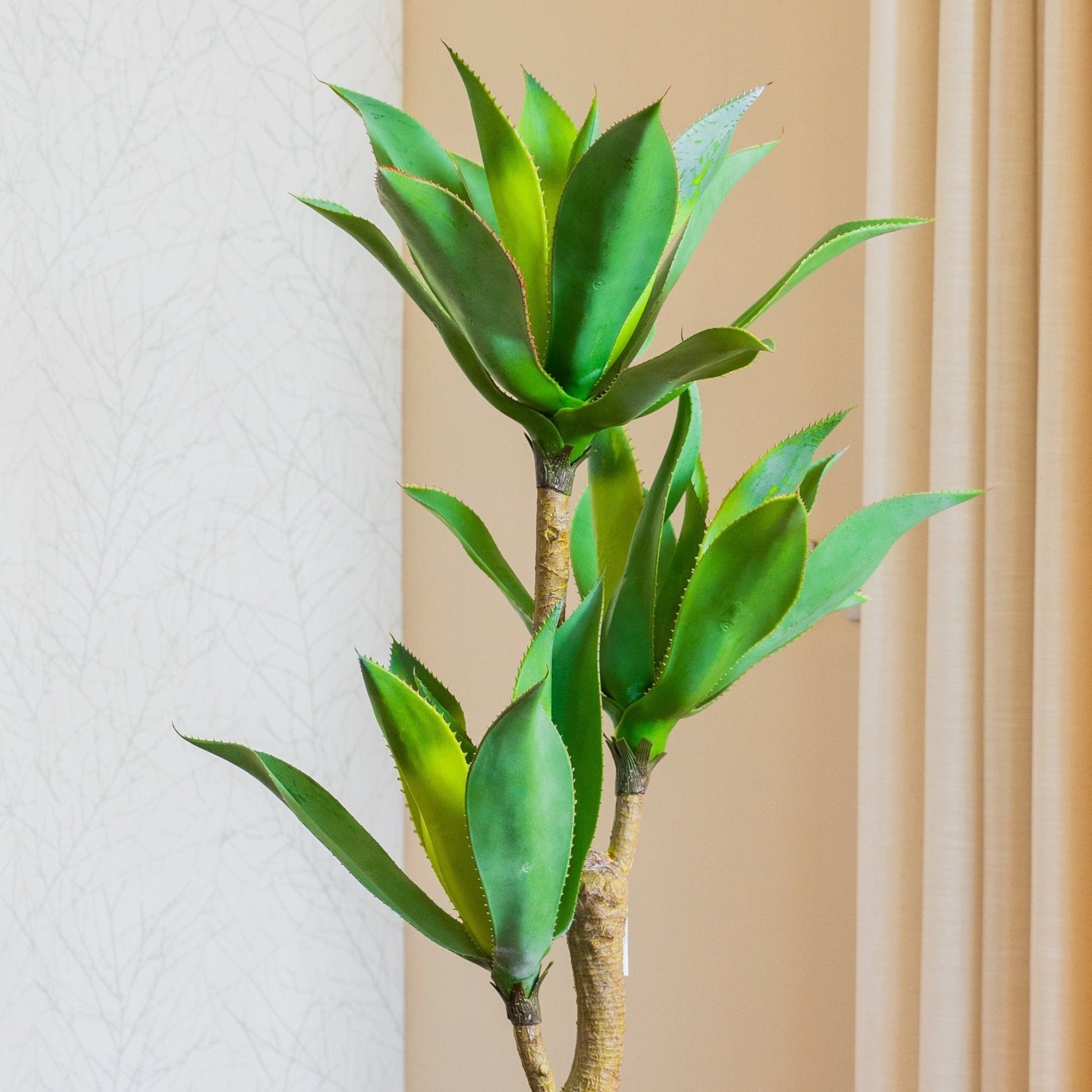 Agave artificial