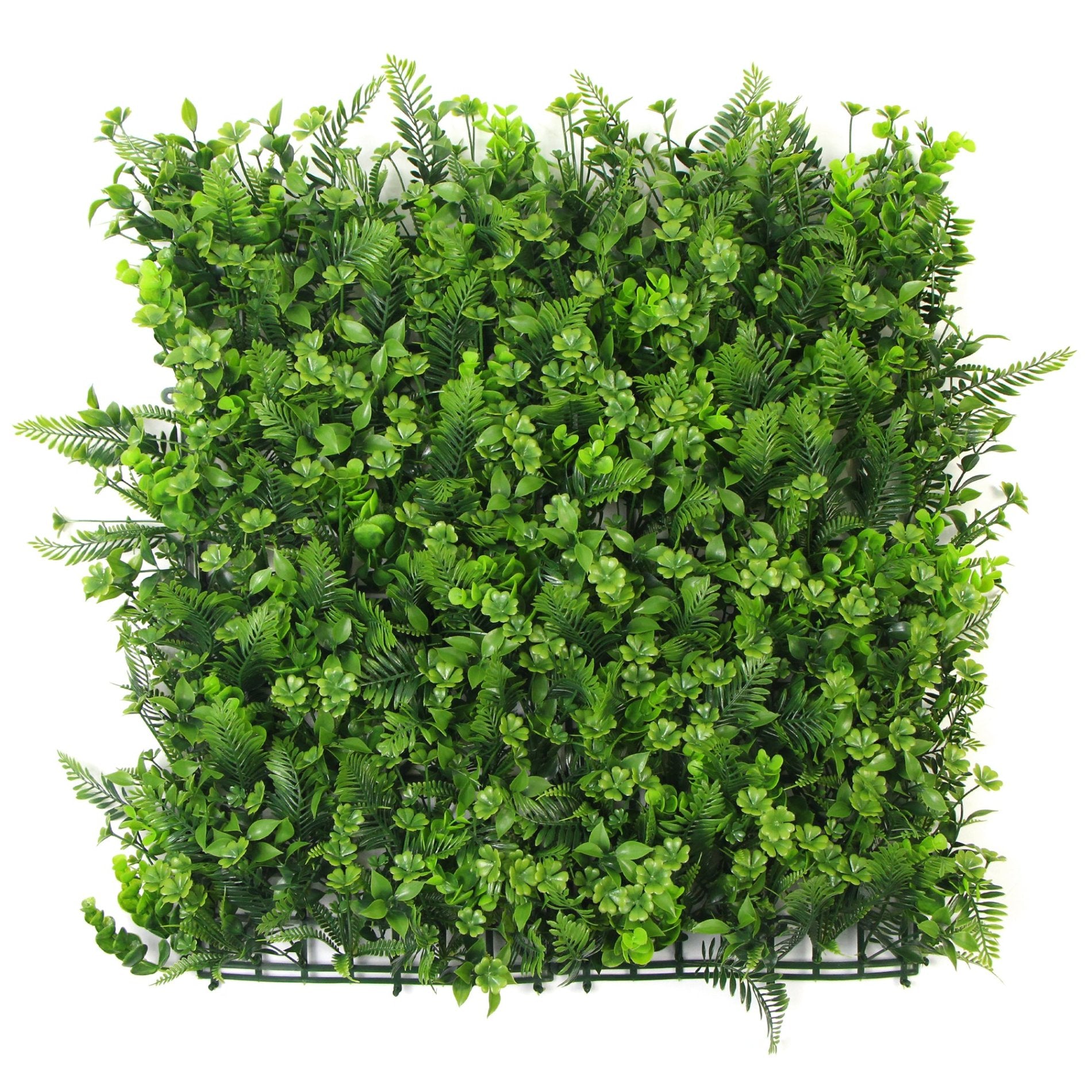 JARDIN VERTICAL MARTINA