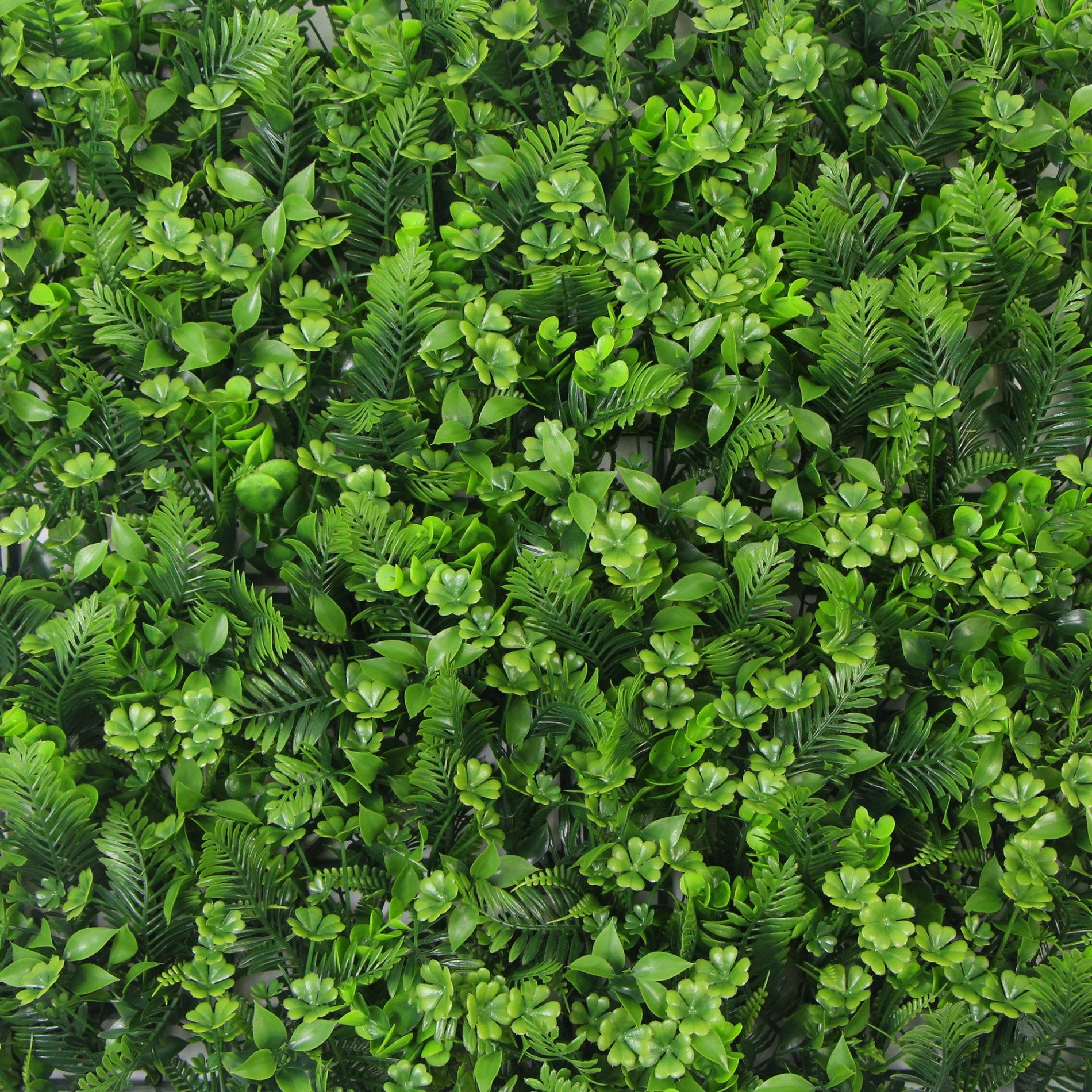 JARDIN VERTICAL MARTINA