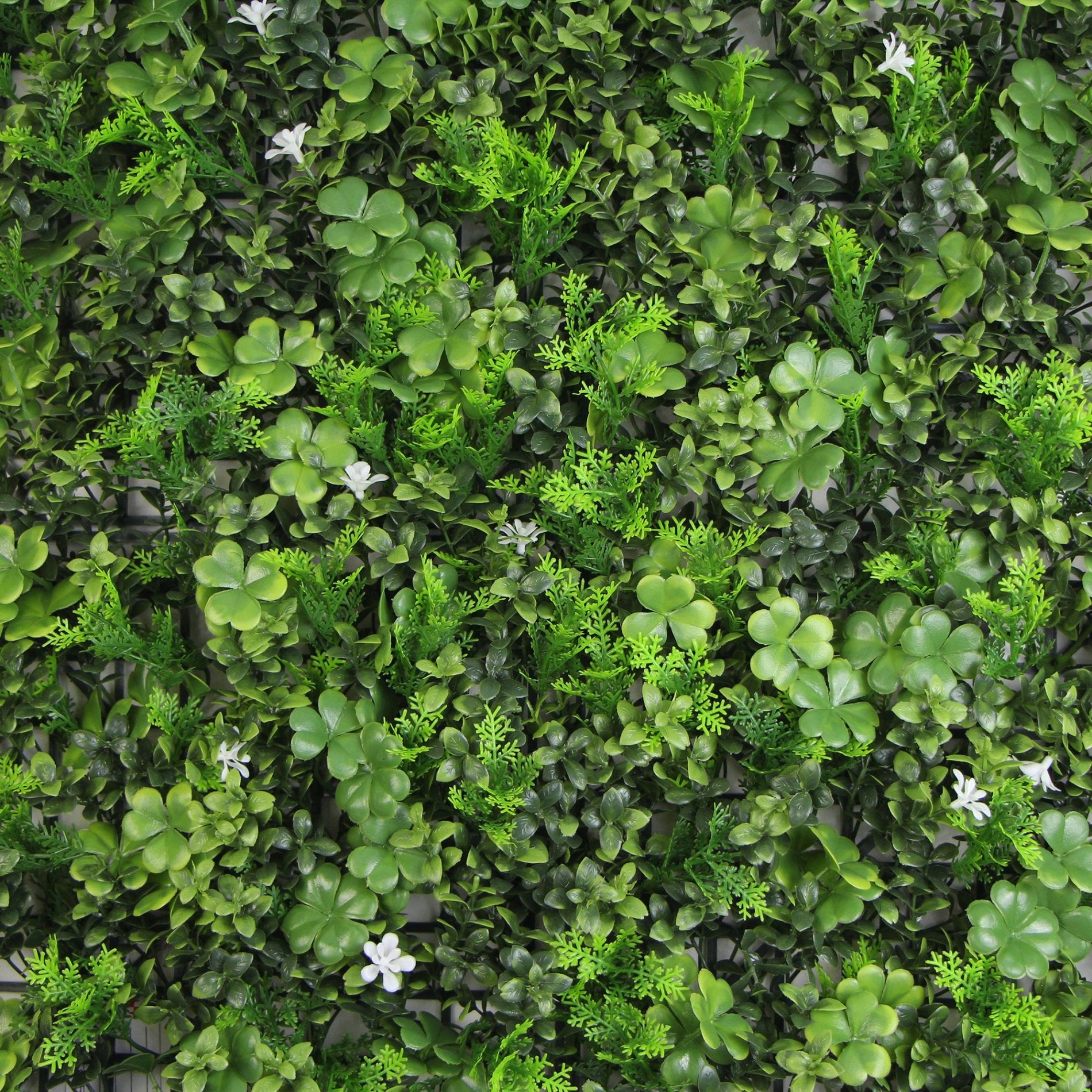 JARDIN VERTICAL NEW PRIME