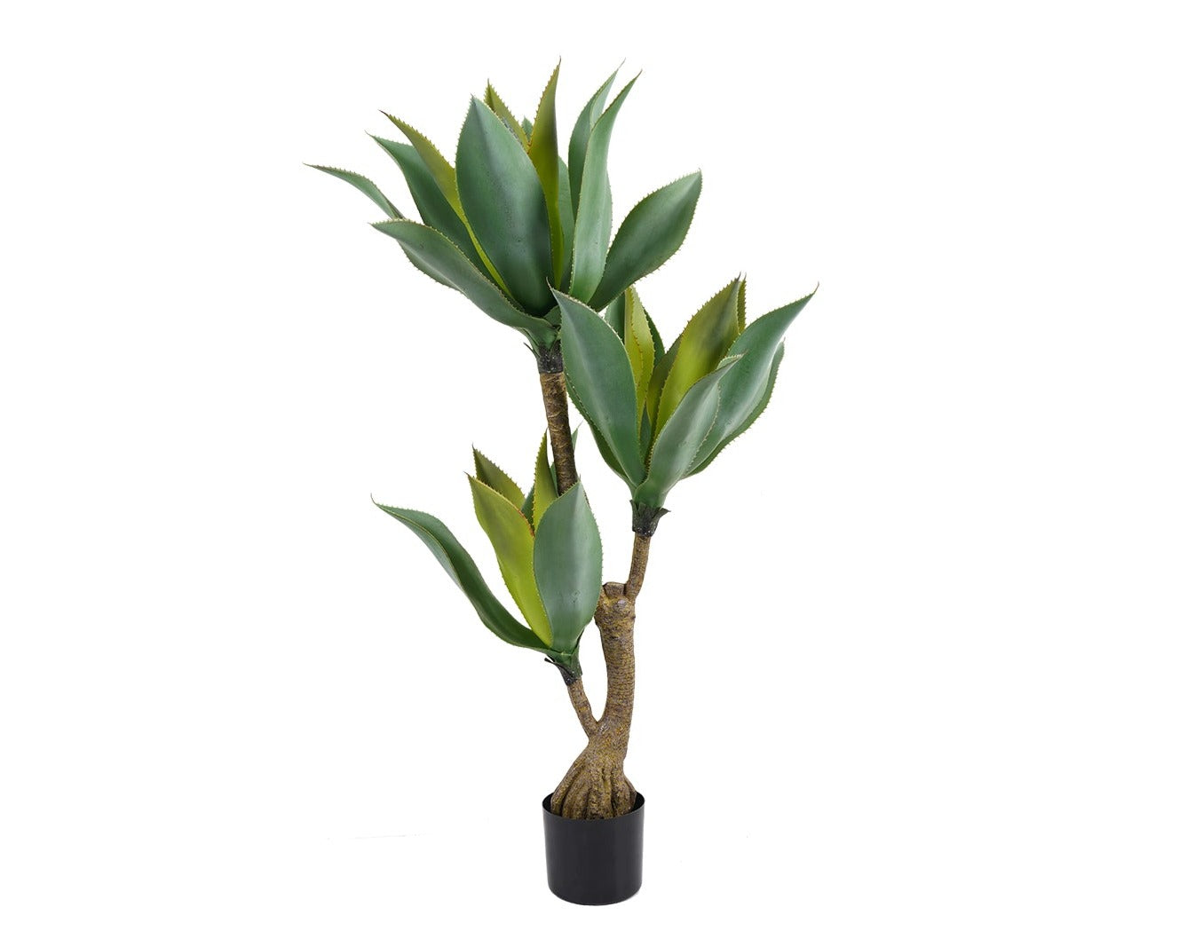 Agave artificial