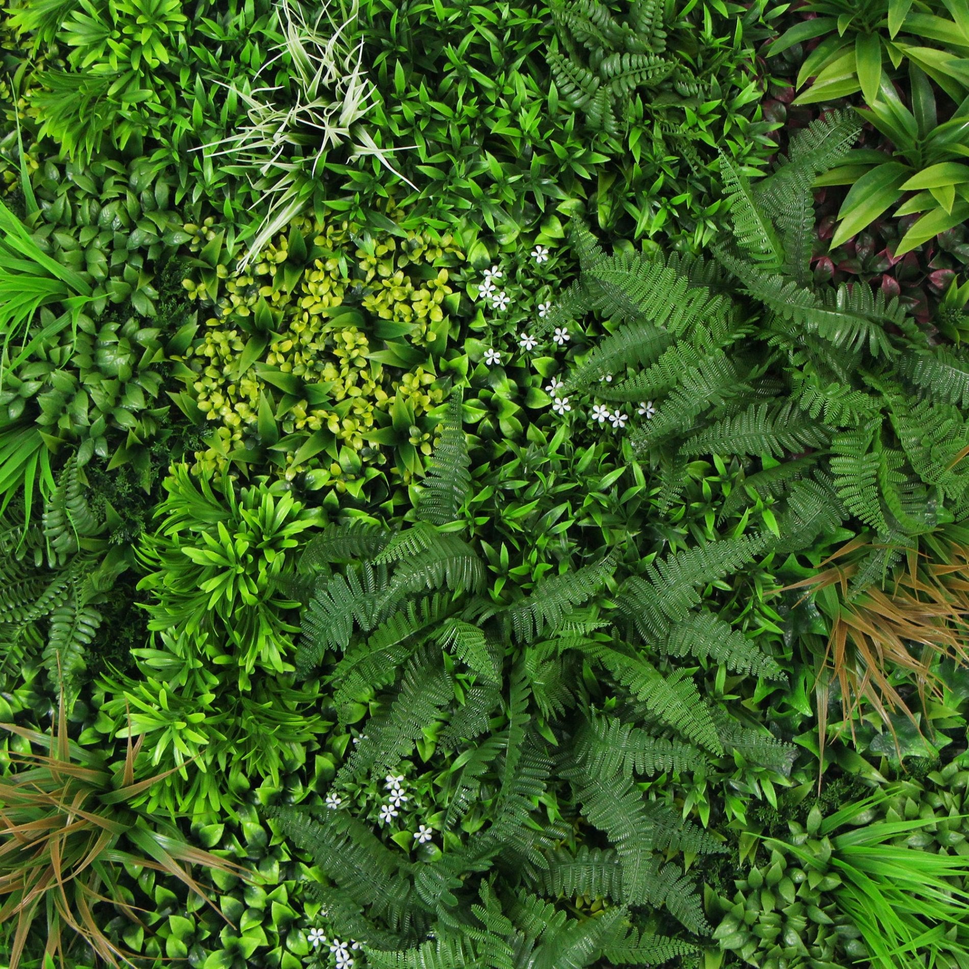 Jardin vertical