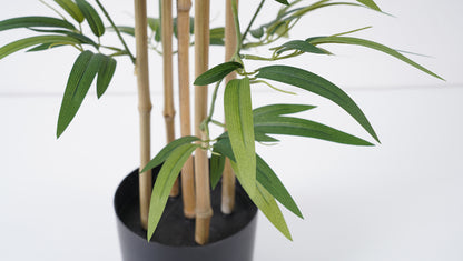 Bamboo 127 CM