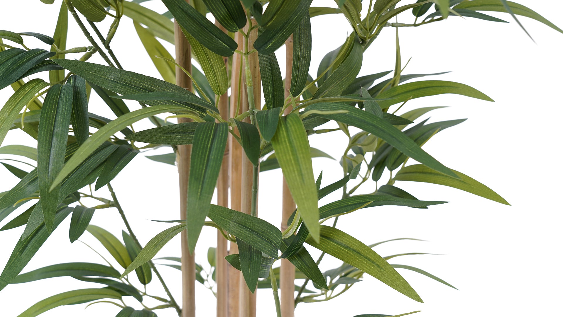 Bamboo 127 CM