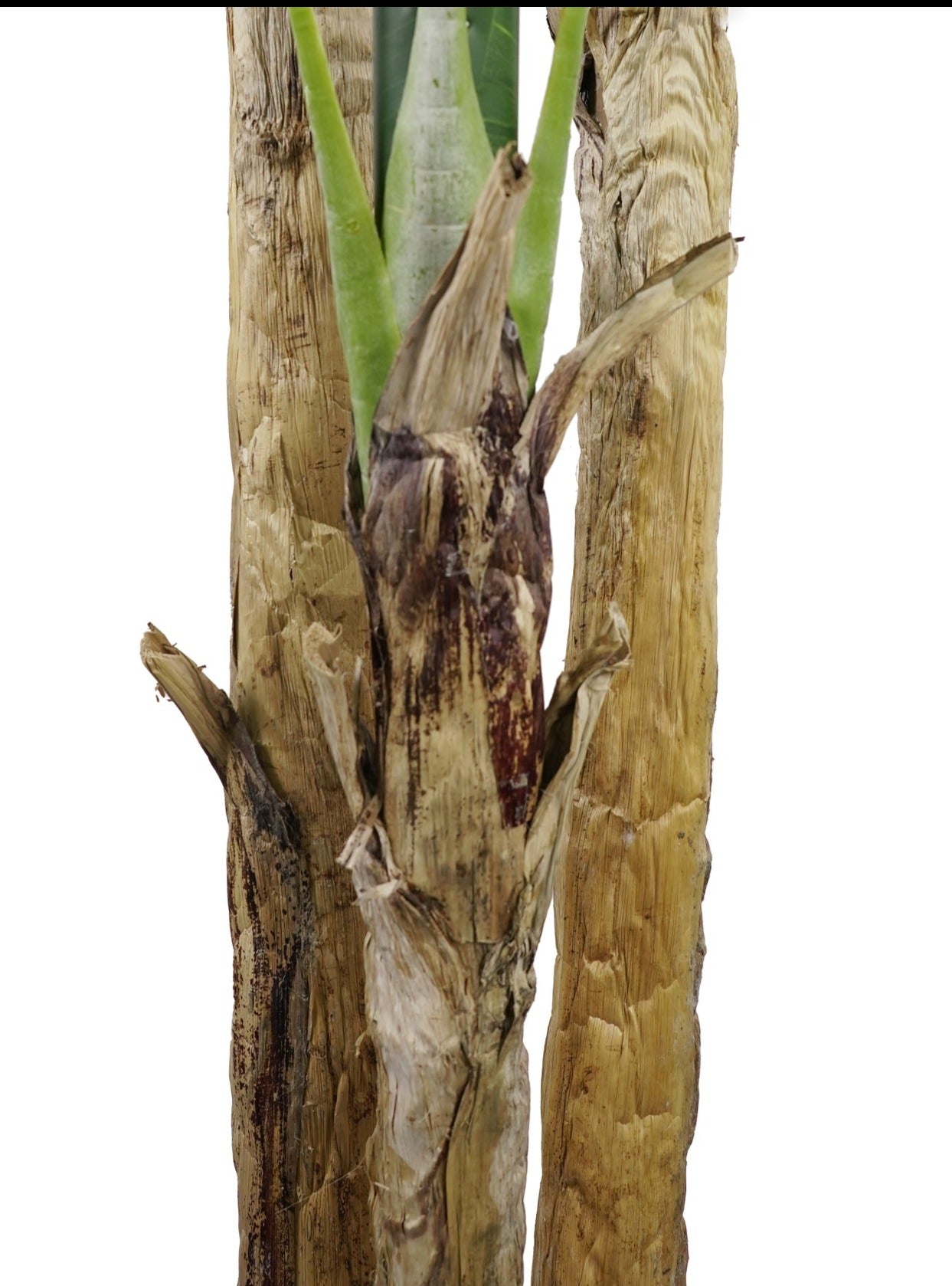 Banana Tree artificial