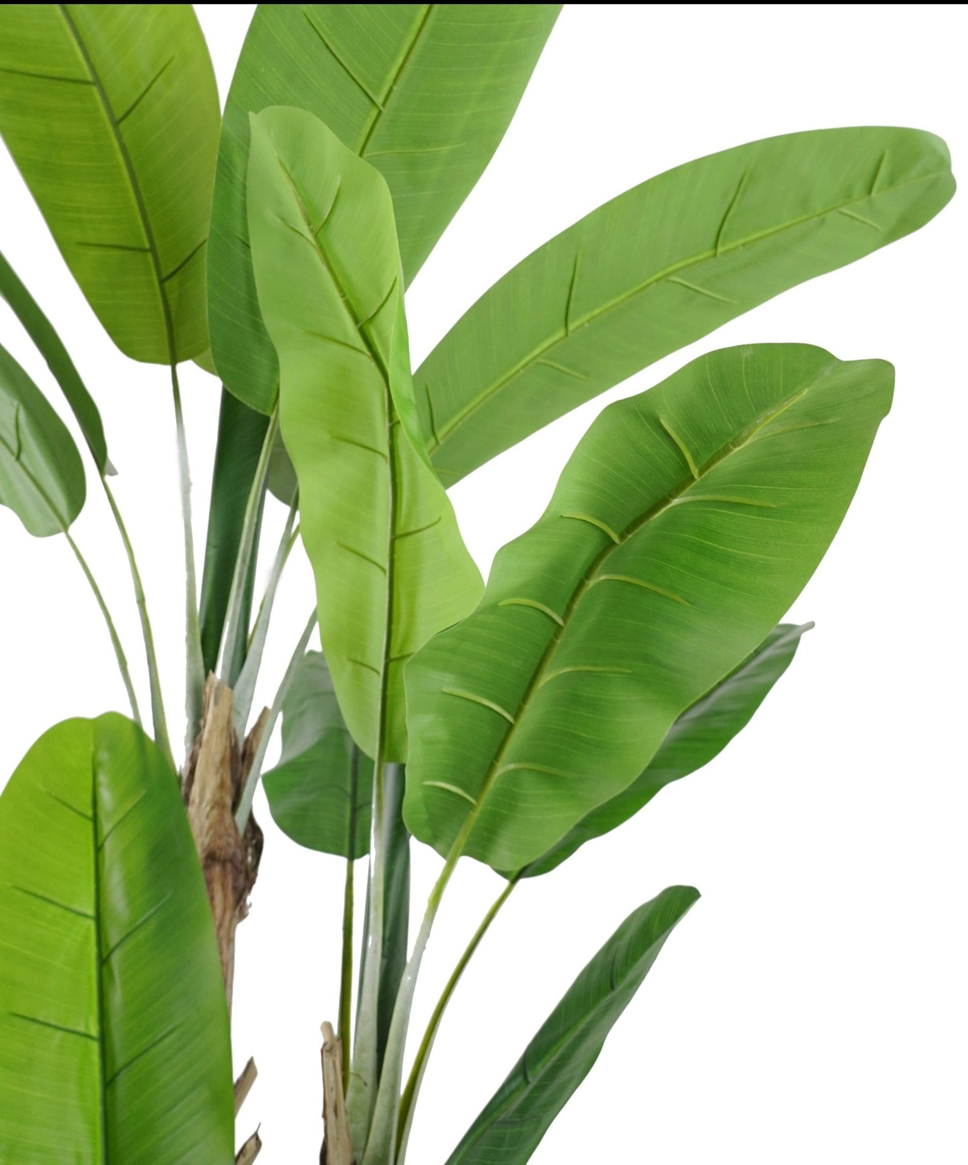 Banana Tree artificial