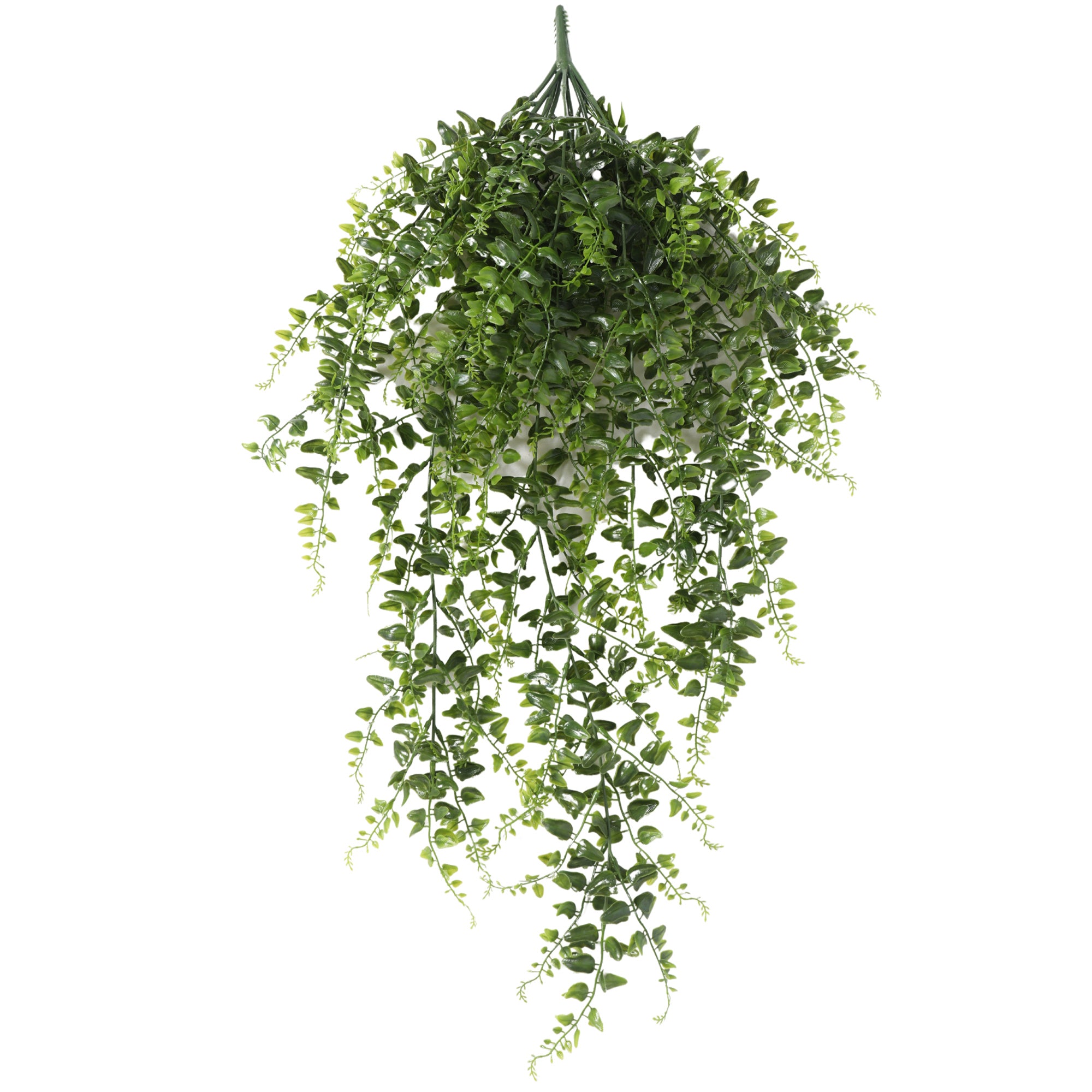 Helecho Colgante Bush 80cms, con filtro UV