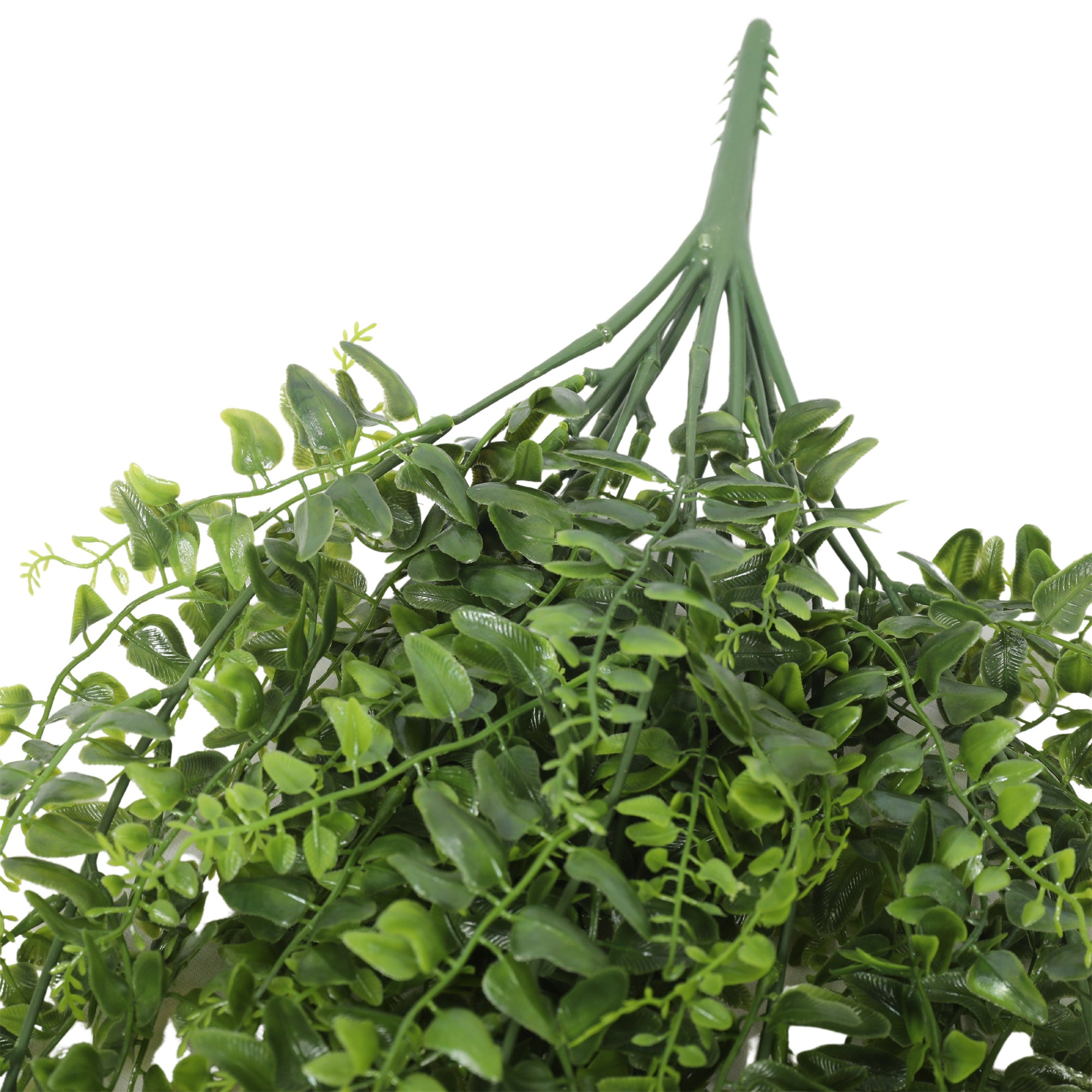 Helecho Colgante Bush 80cms, con filtro UV
