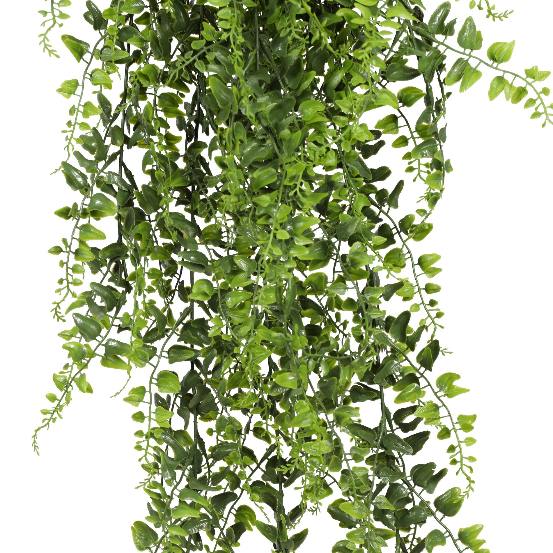 Helecho Colgante Bush 80cms, con filtro UV