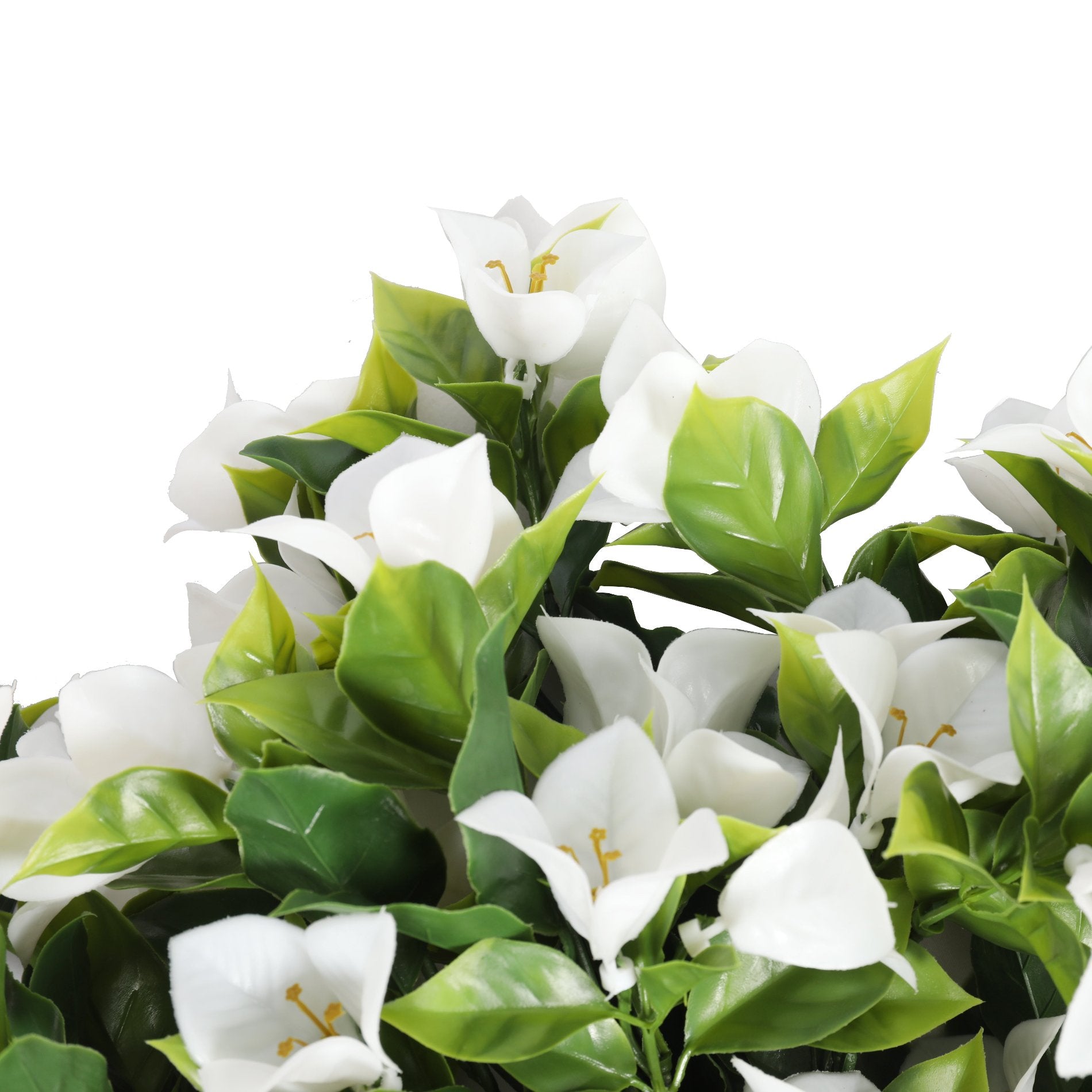 Gardenia artificial