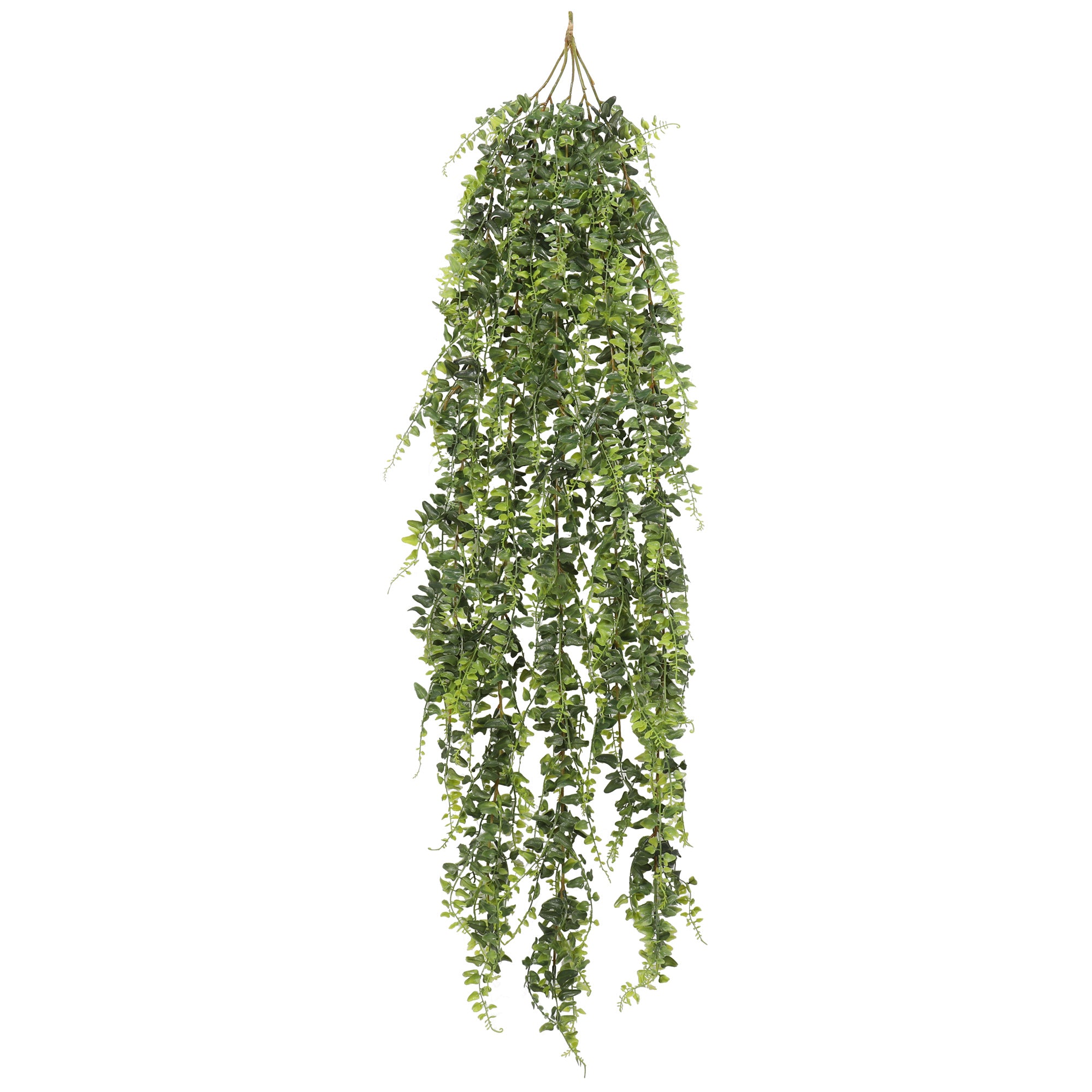 Helecho Colgante Bush 110 cms, con filtro UV