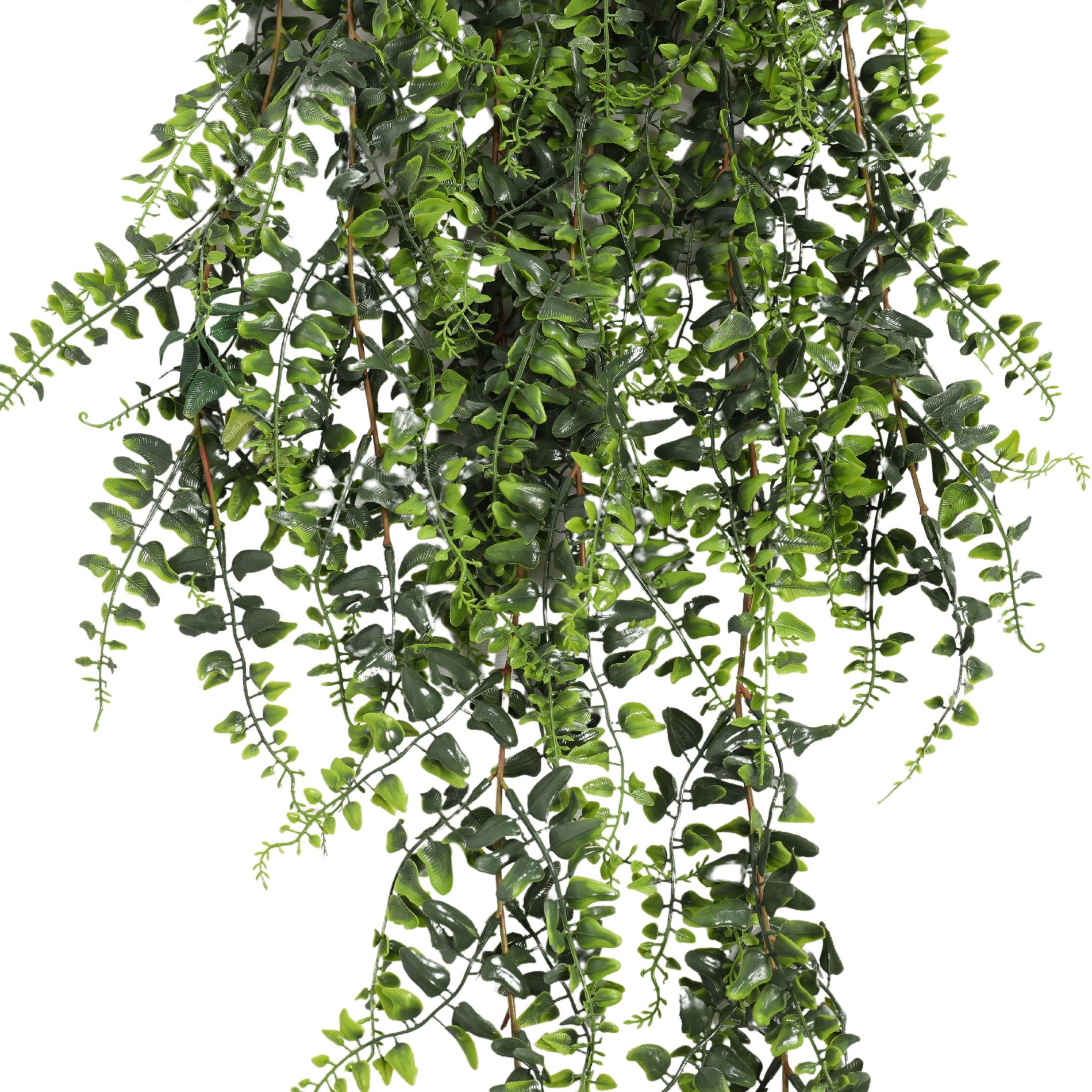 Helecho Colgante Bush 110 cms, con filtro UV