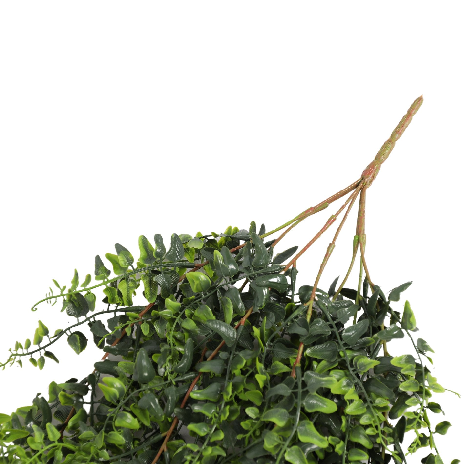 Helecho Colgante Bush 110 cms, con filtro UV