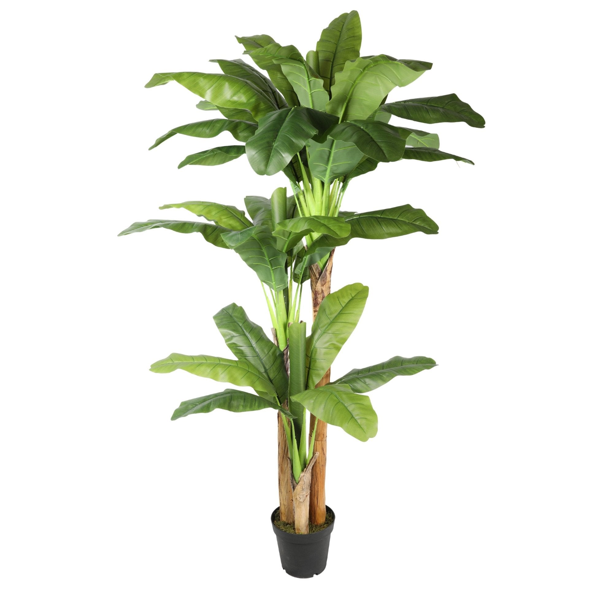 banana tree artificial