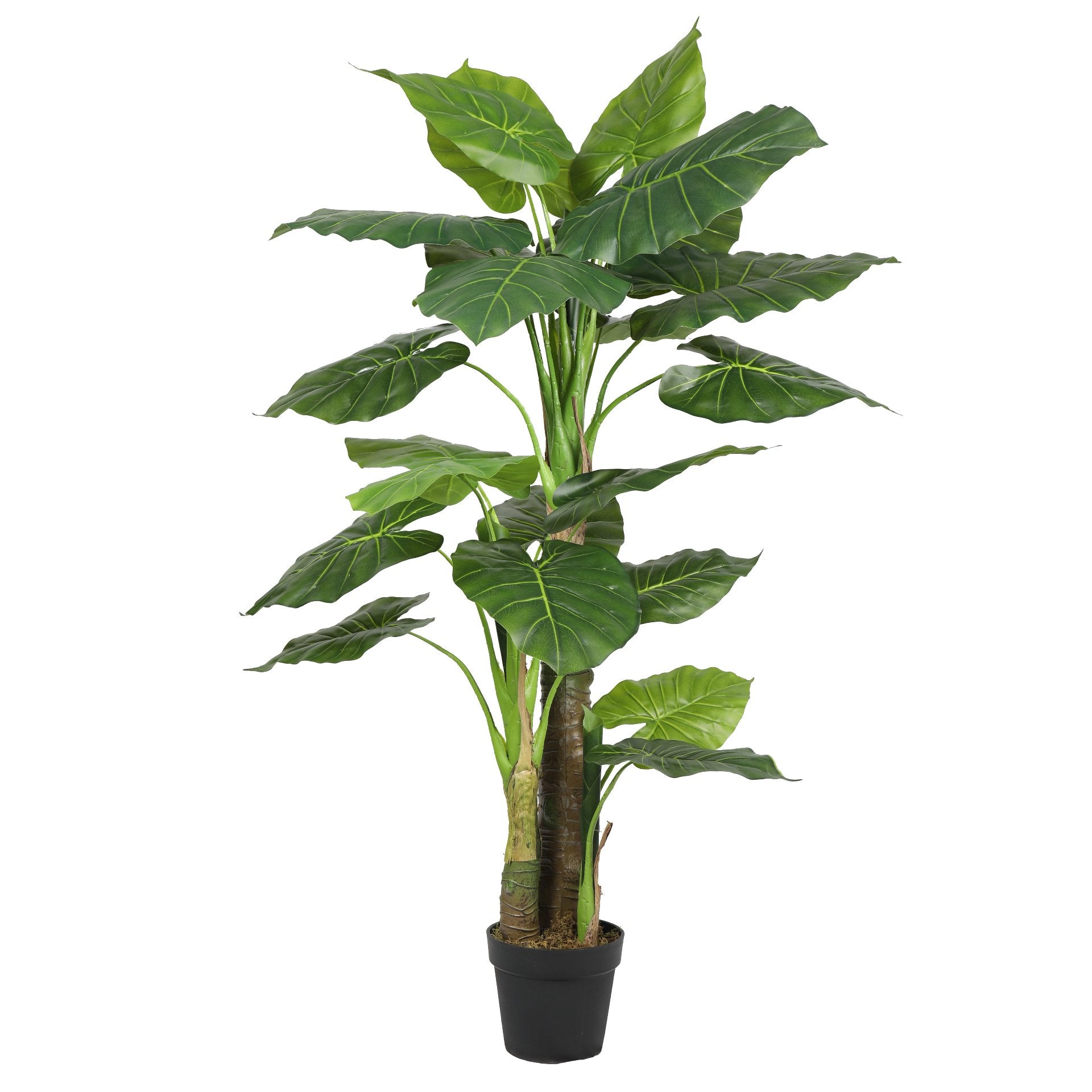 Planta taro artificial