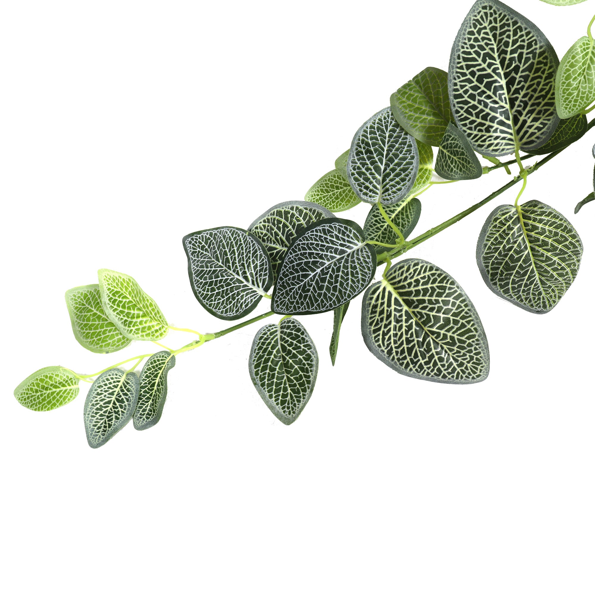 Planta Colgante Summer 190cms.
