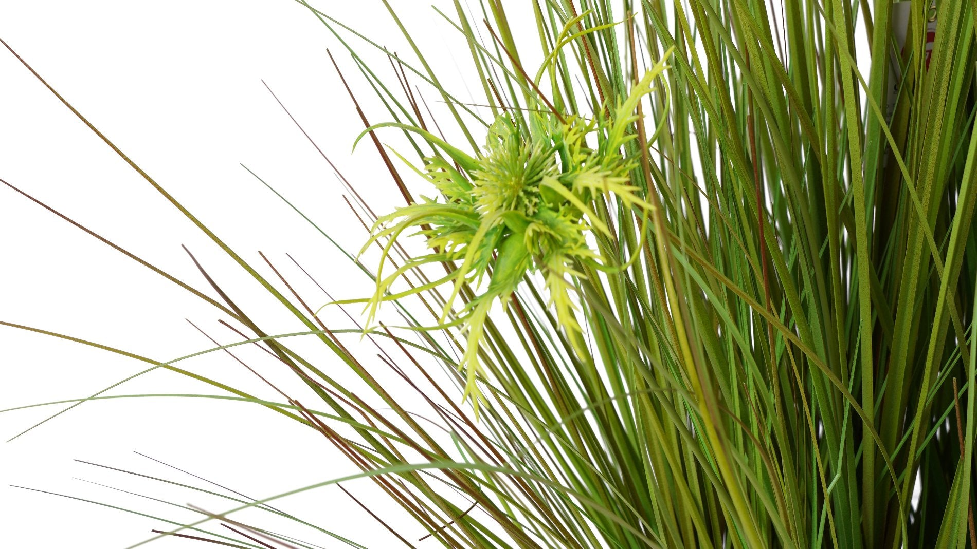 GRASS AMARILLO (91 cms.)