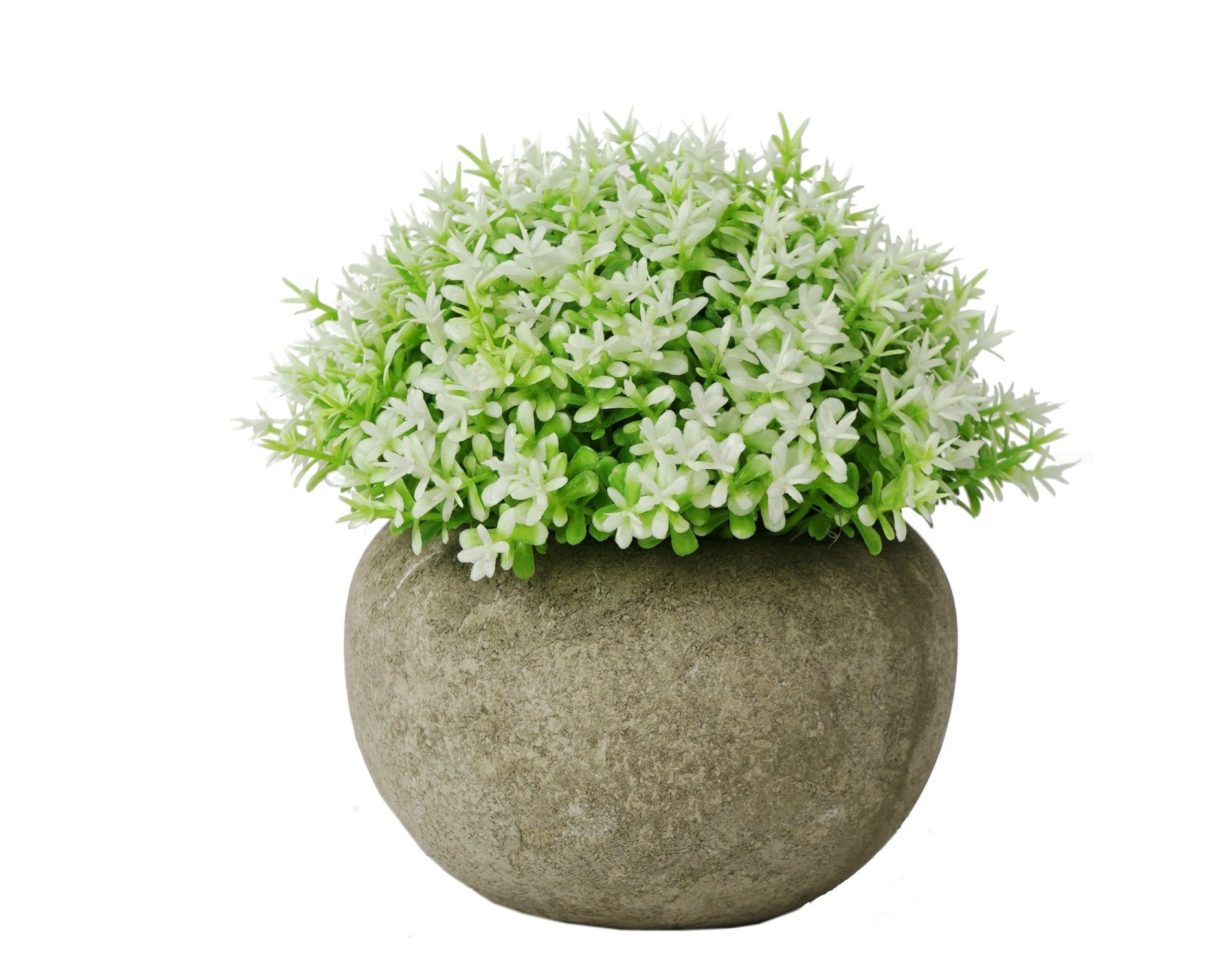 GRASS AMARILLO | MACETERO (12 cms.)