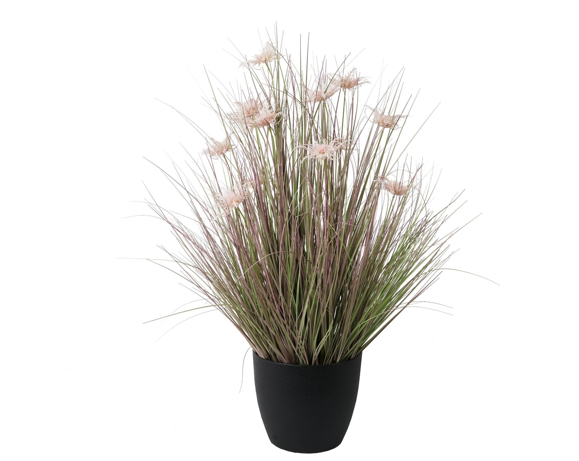 GRASS ROSADO (91 cms.)