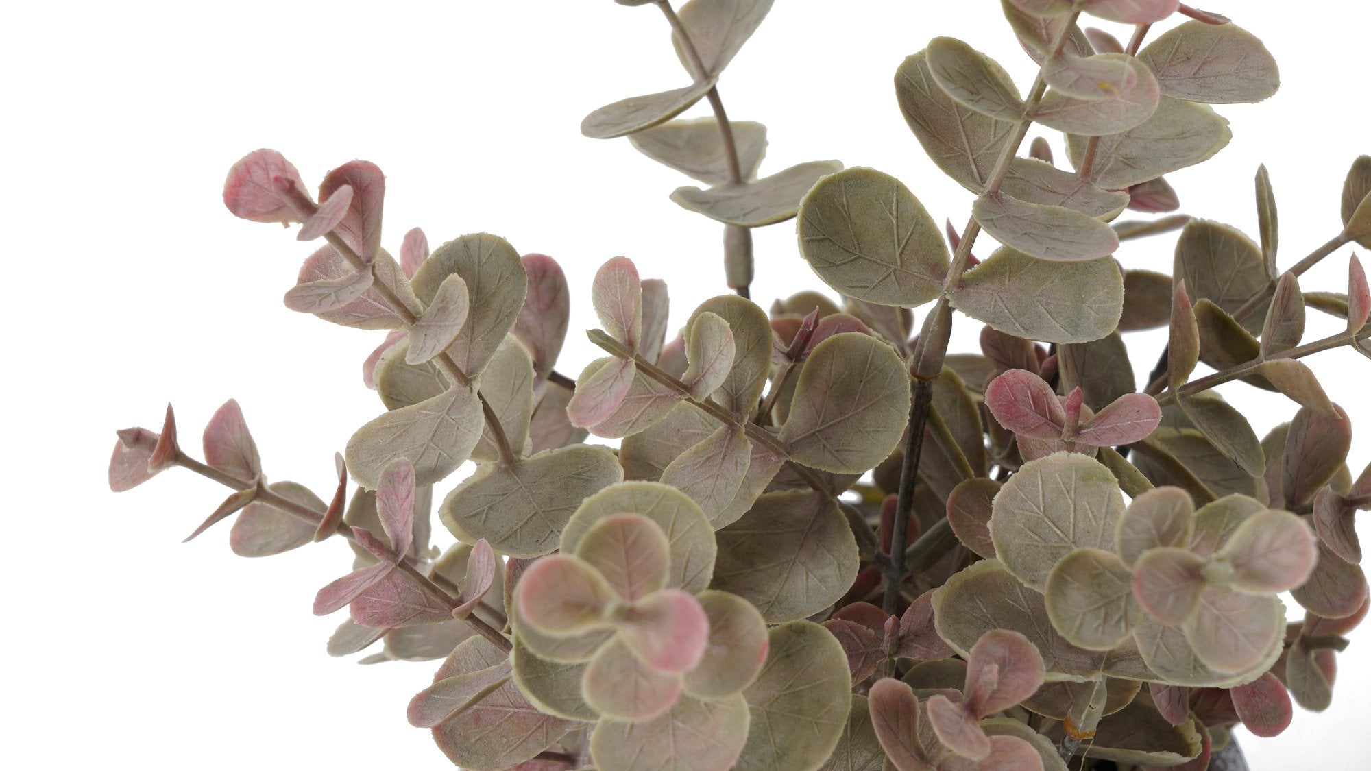 GRASS ROSADO | MACETERO (26 cms.)