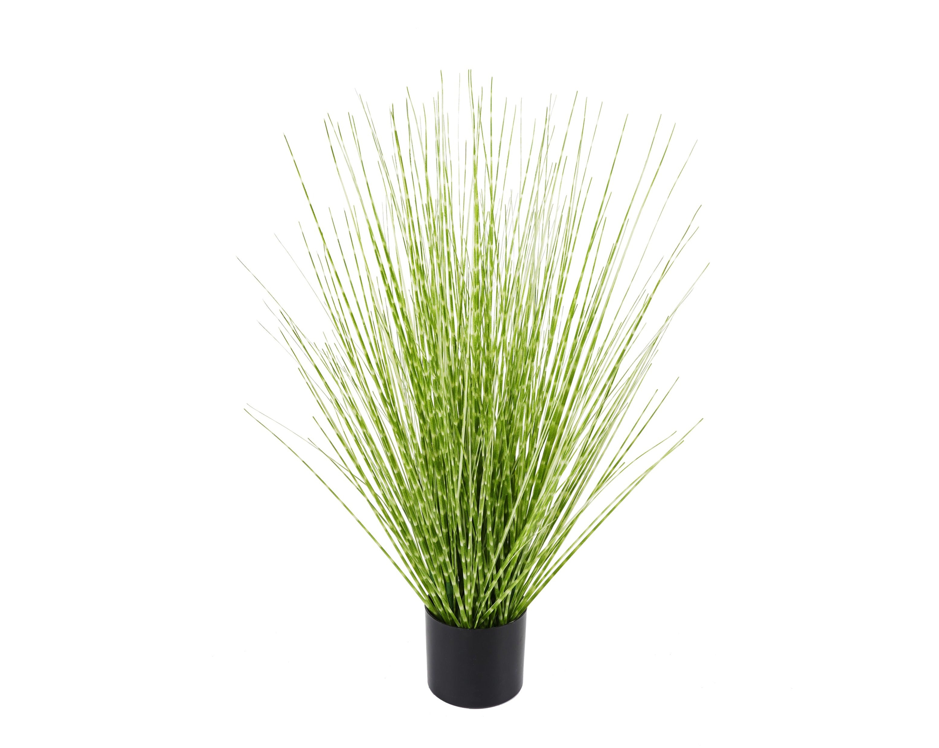 Grass artificial