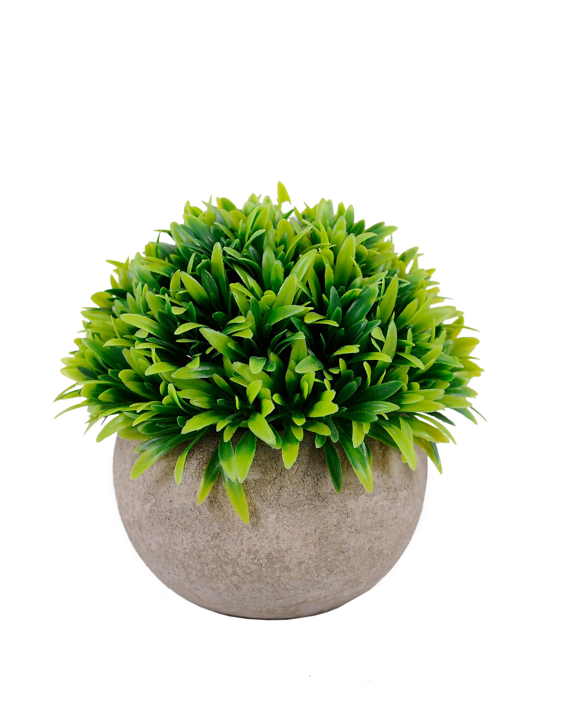 Grass Verde Con Macetero (12Cm)