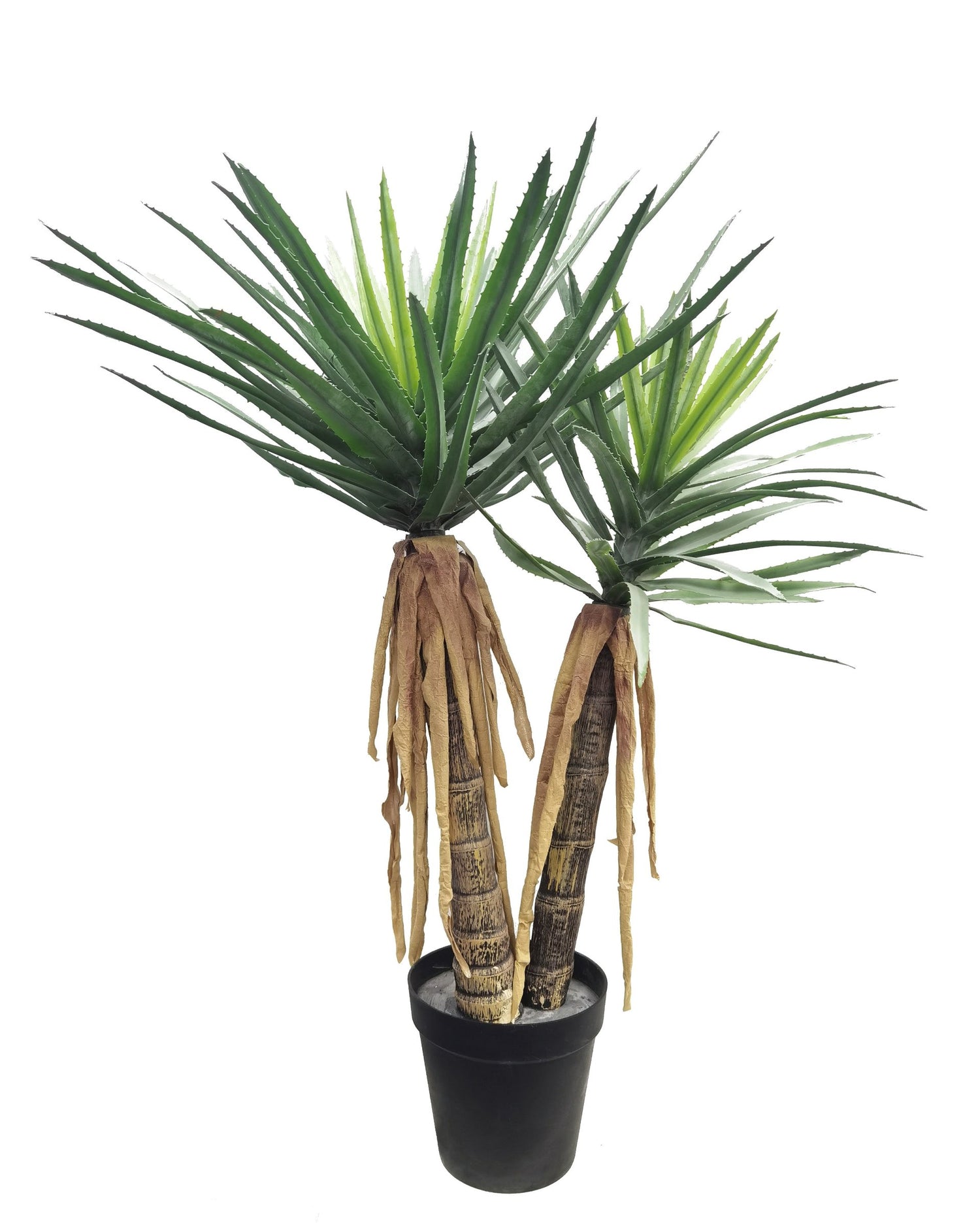 Aloe Vera artificial