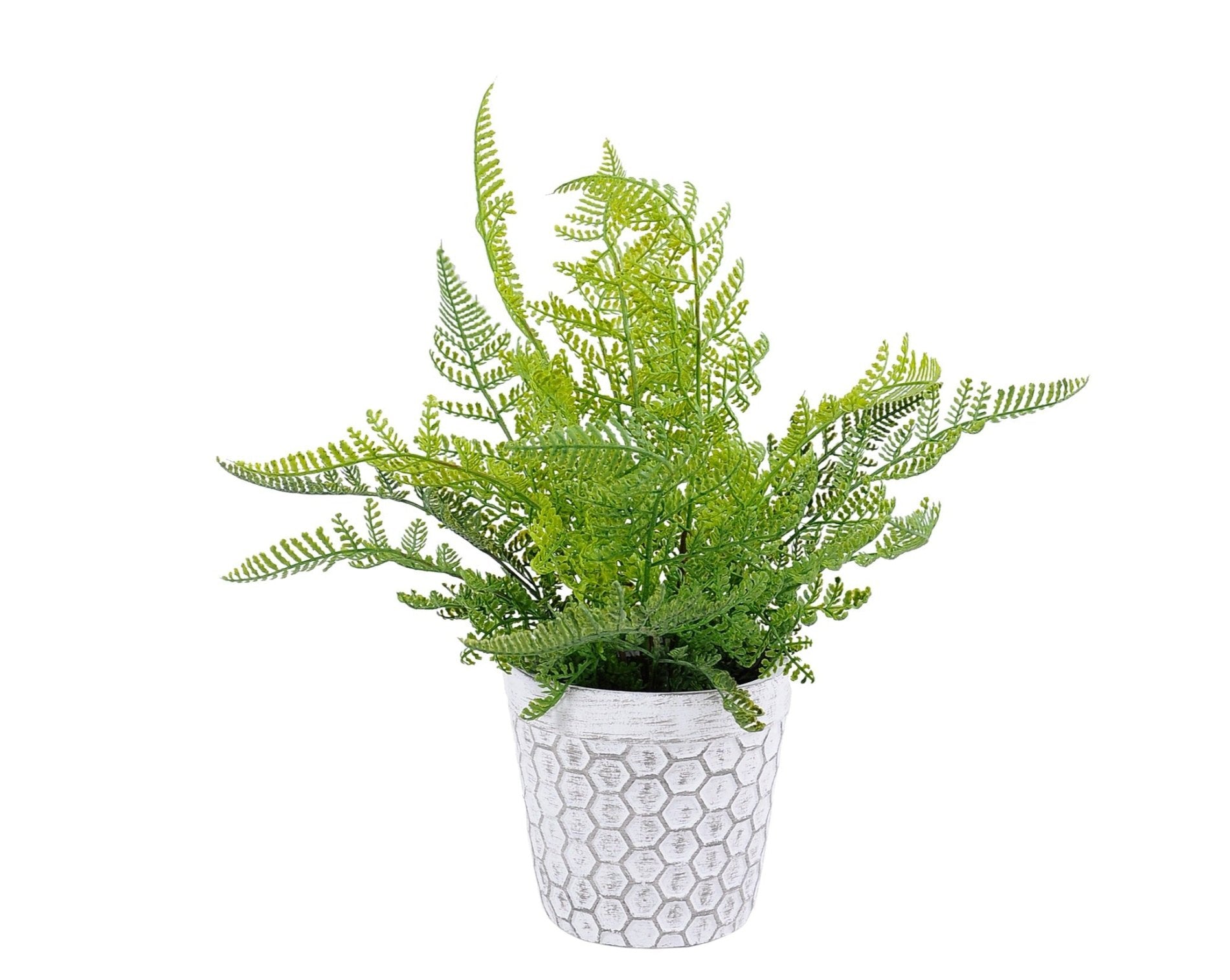 HELECHO | MACETERO CEMENTO (35 cms.)