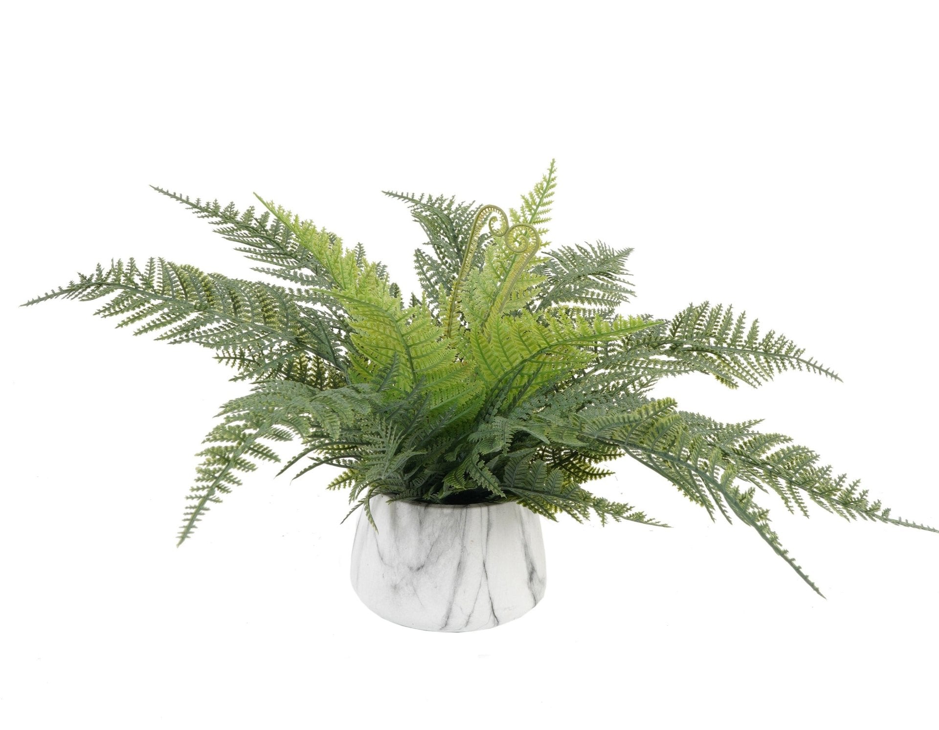 Helecho En Macetero Marmol (31 Cm)