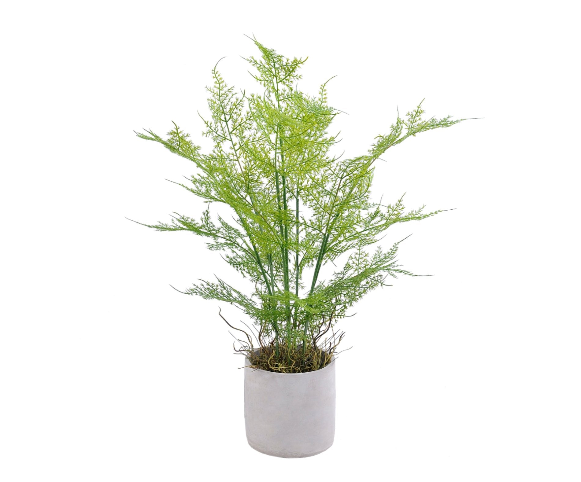 HELECHO VERDE | MACETERO CEMENTO (58 cms.)