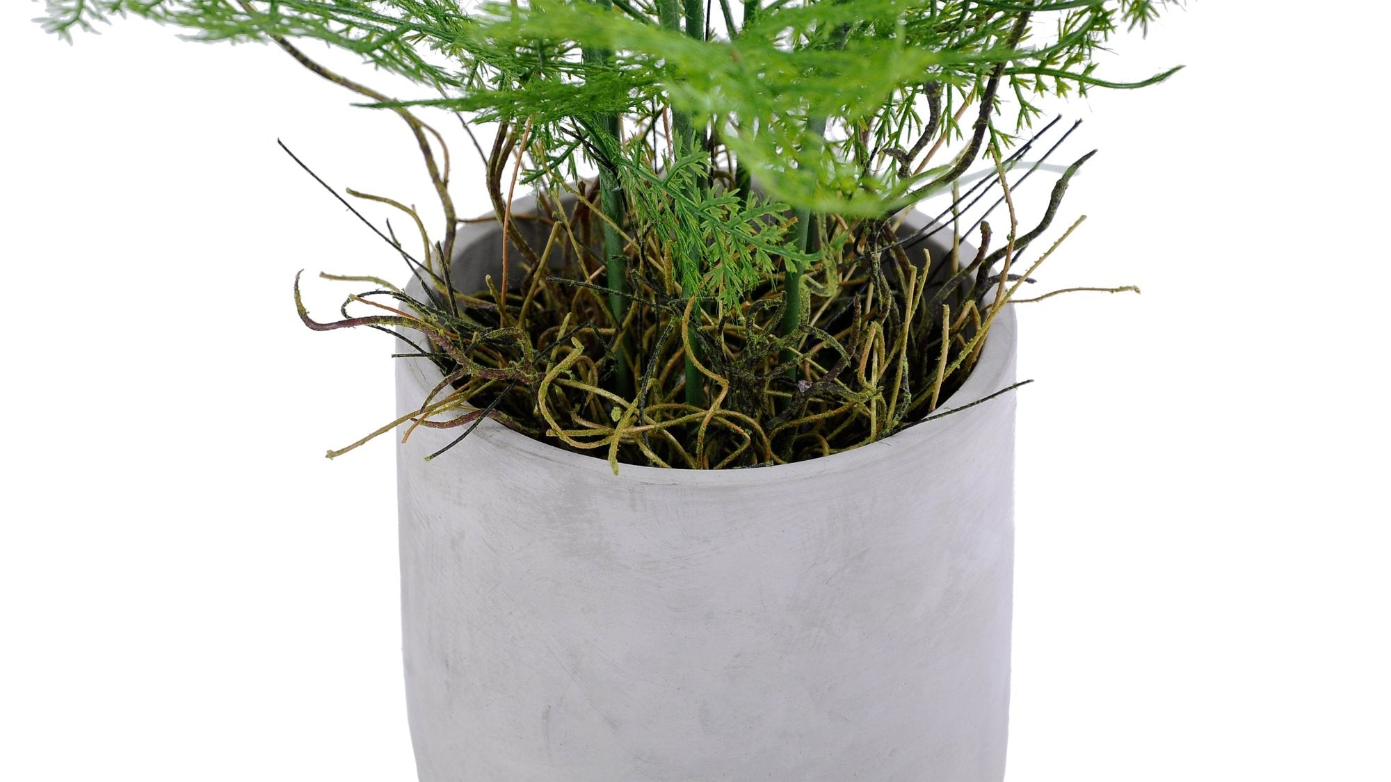 HELECHO VERDE | MACETERO CEMENTO (58 cms.)