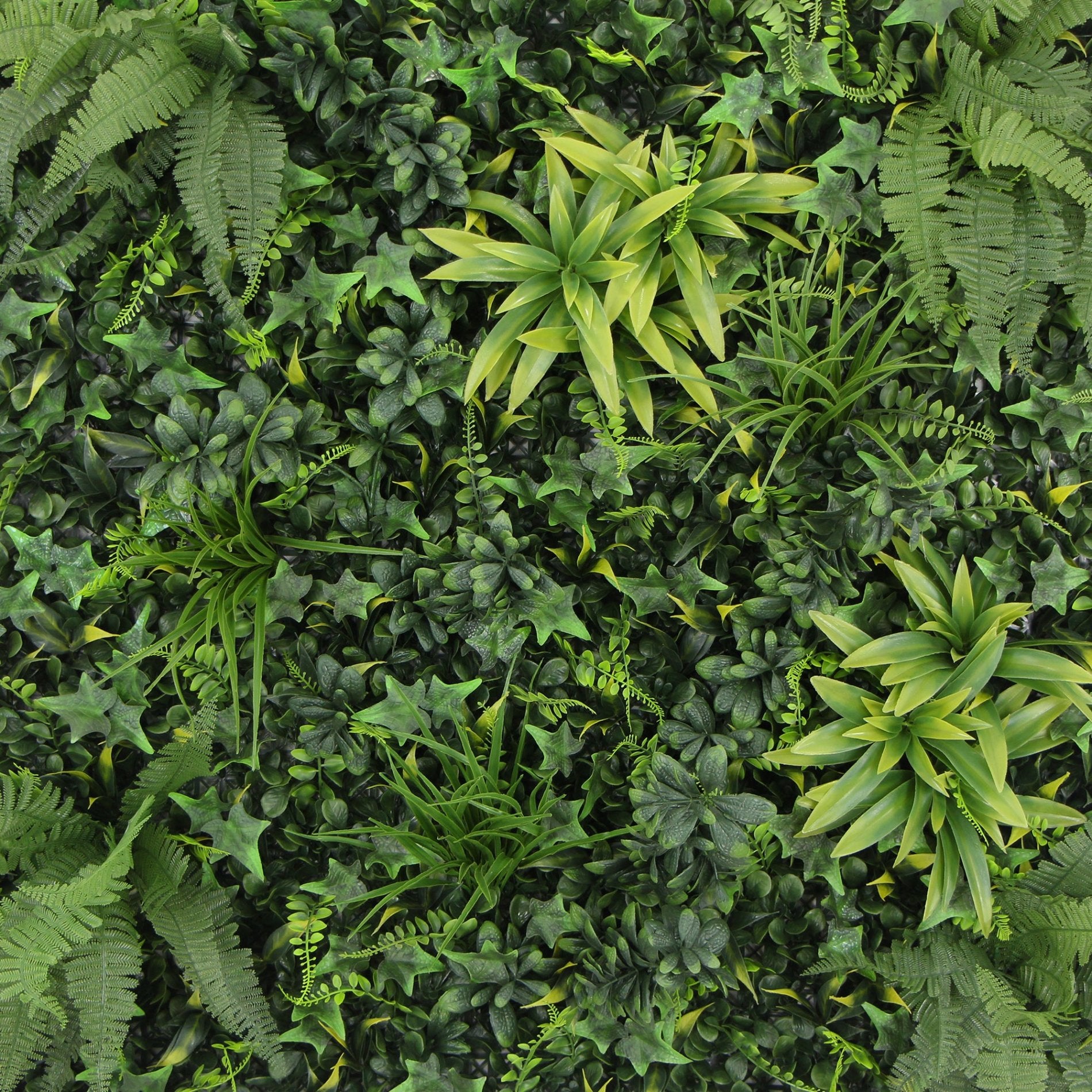 Jardin vertical