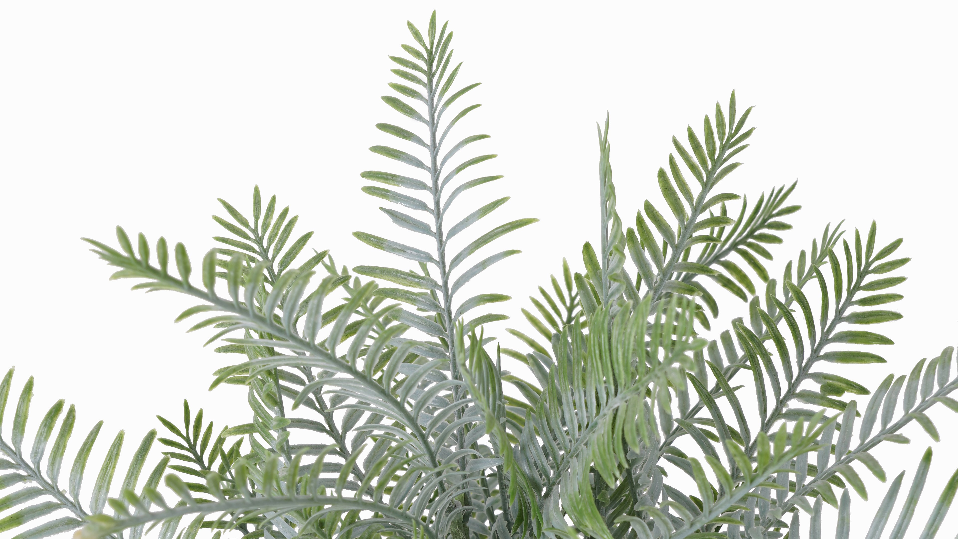 LAVANDA | MACETERO (32cms)