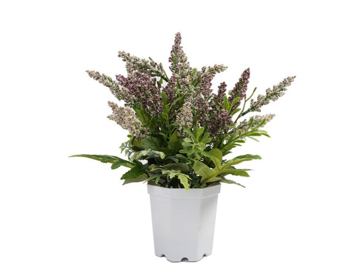 Lavanda artificial
