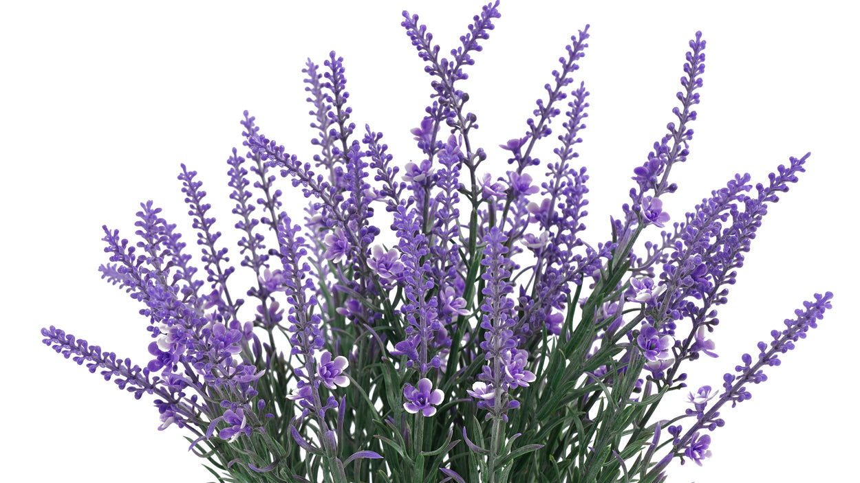 LAVANDA MORADA | MACETERO MADERA (32 cms.)