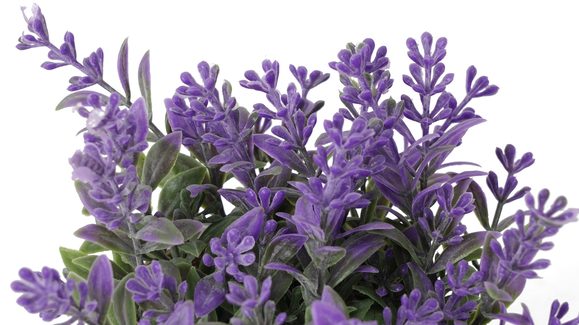 LAVANDA MORADA | MACETERO DE LINO (16 cms.)
