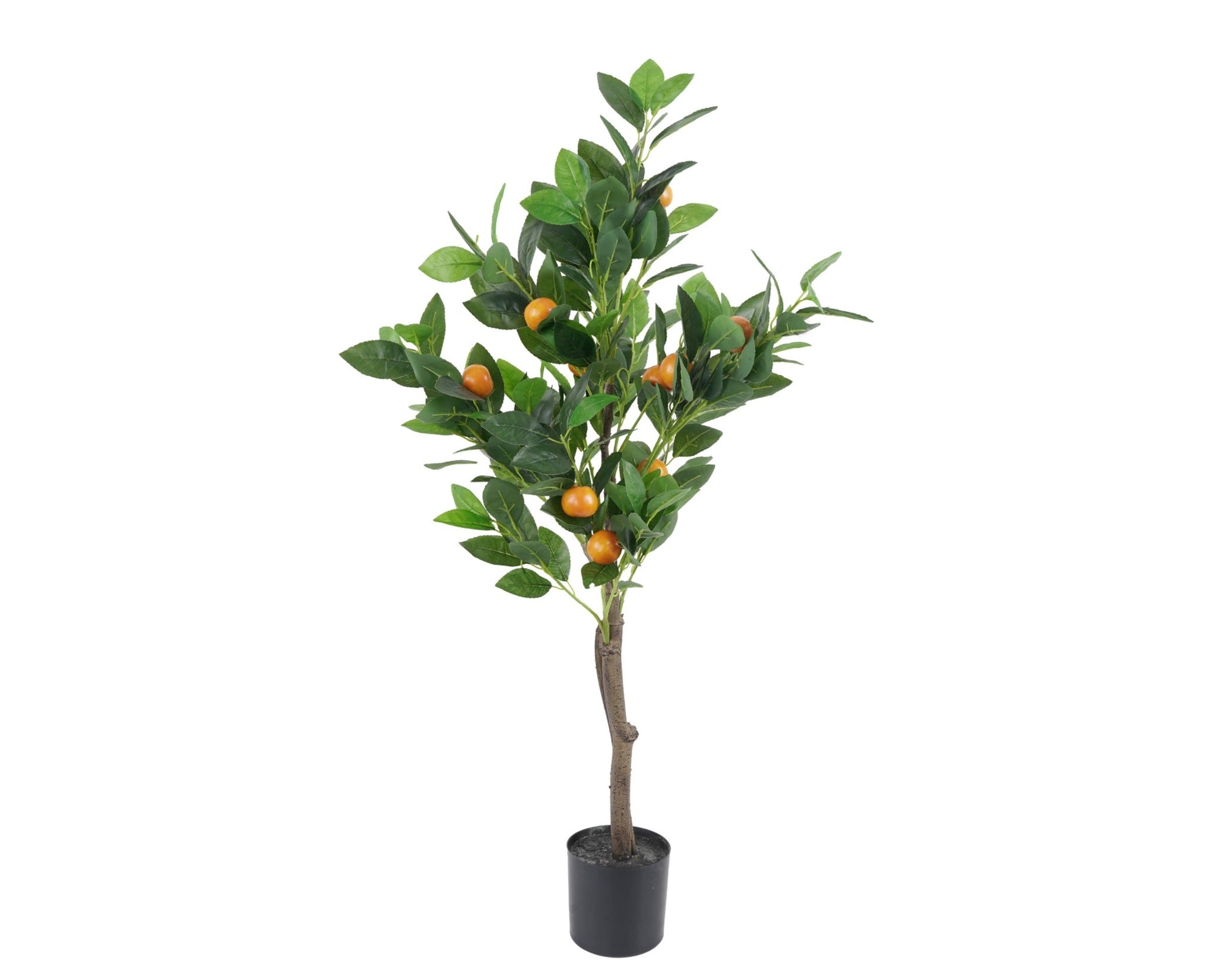 NARANJO (90 cms.)
