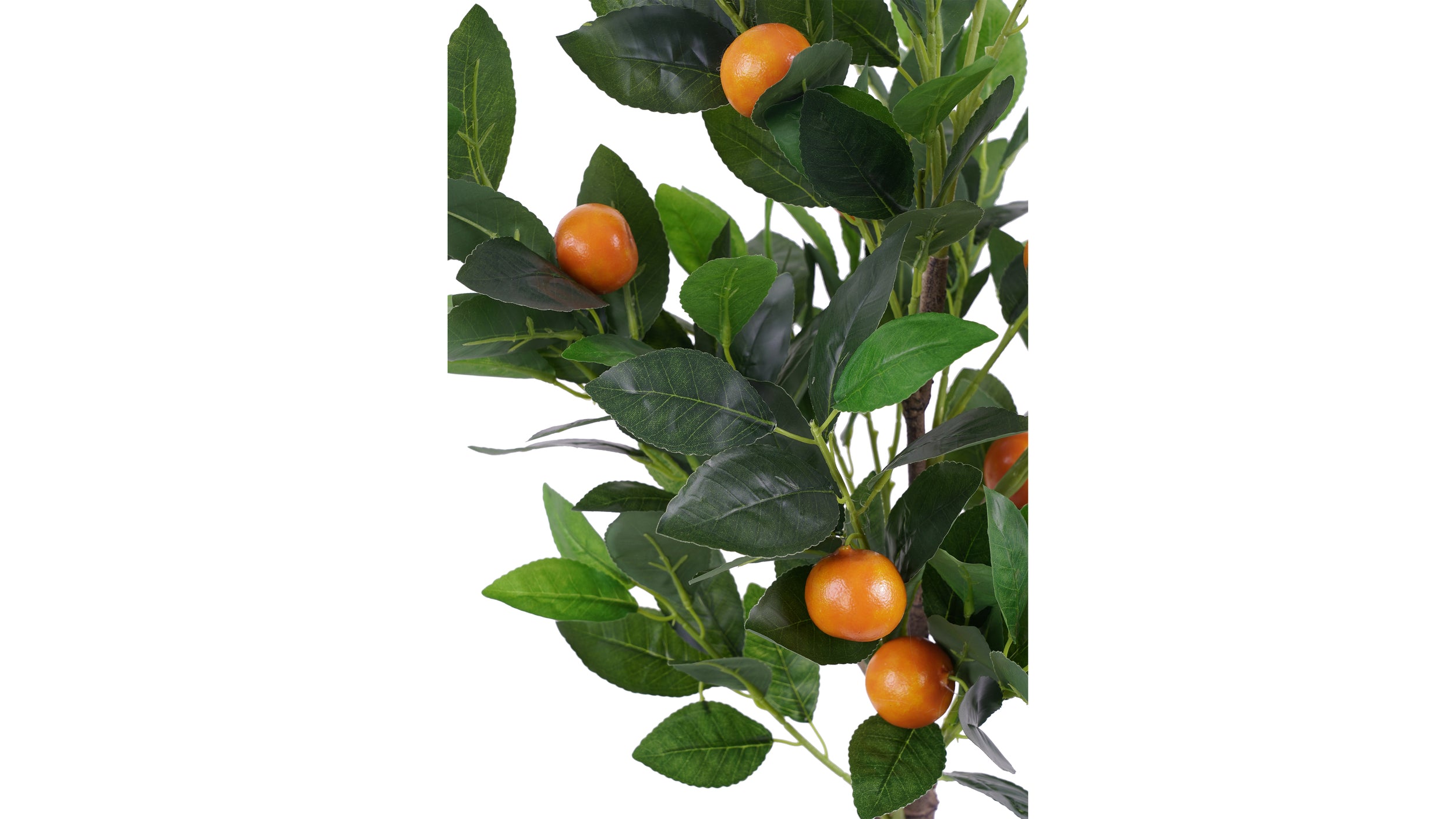 NARANJO (90 cms.)