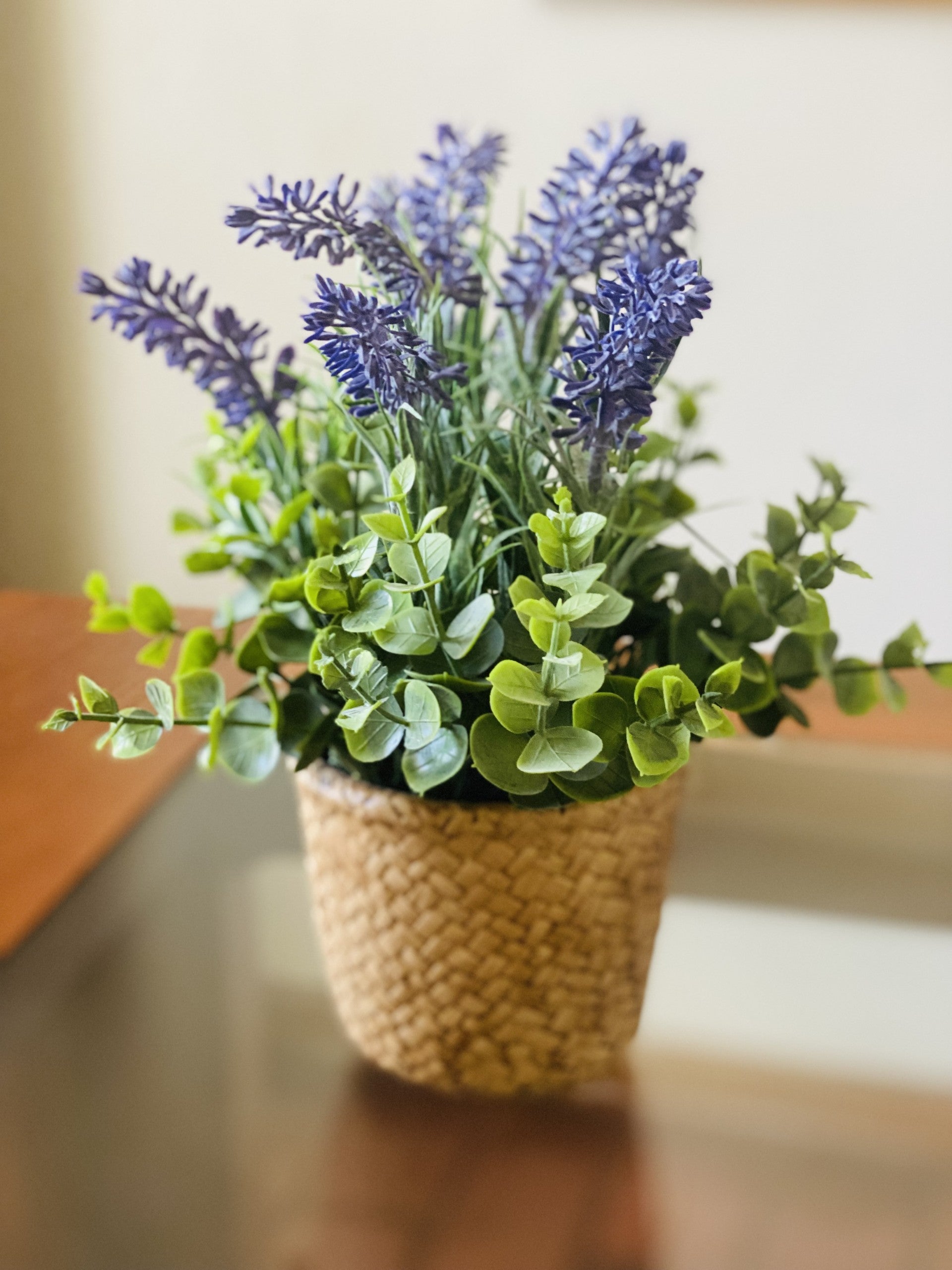 New Lavanda 25 CMS