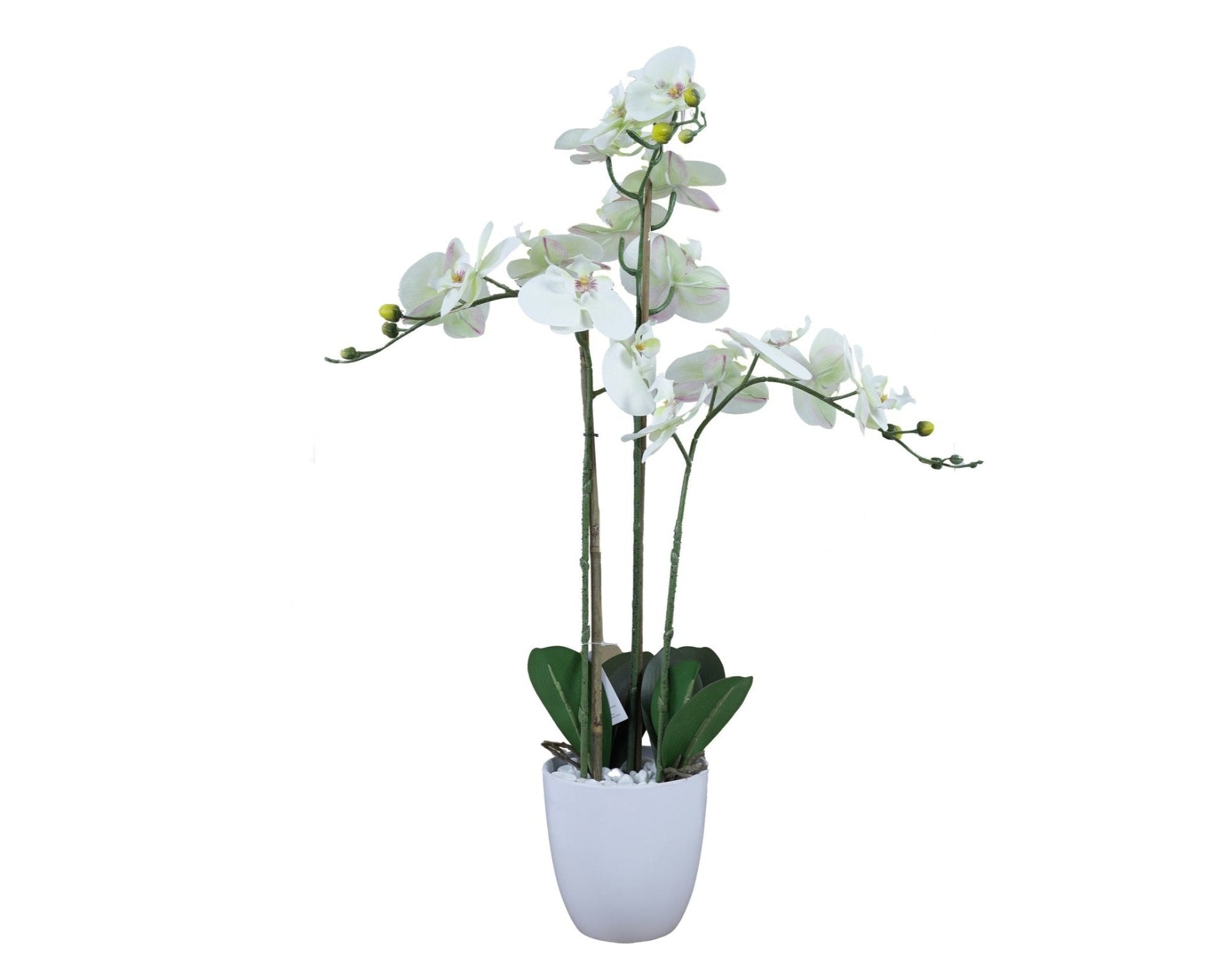 Orquidea Blanca artificial