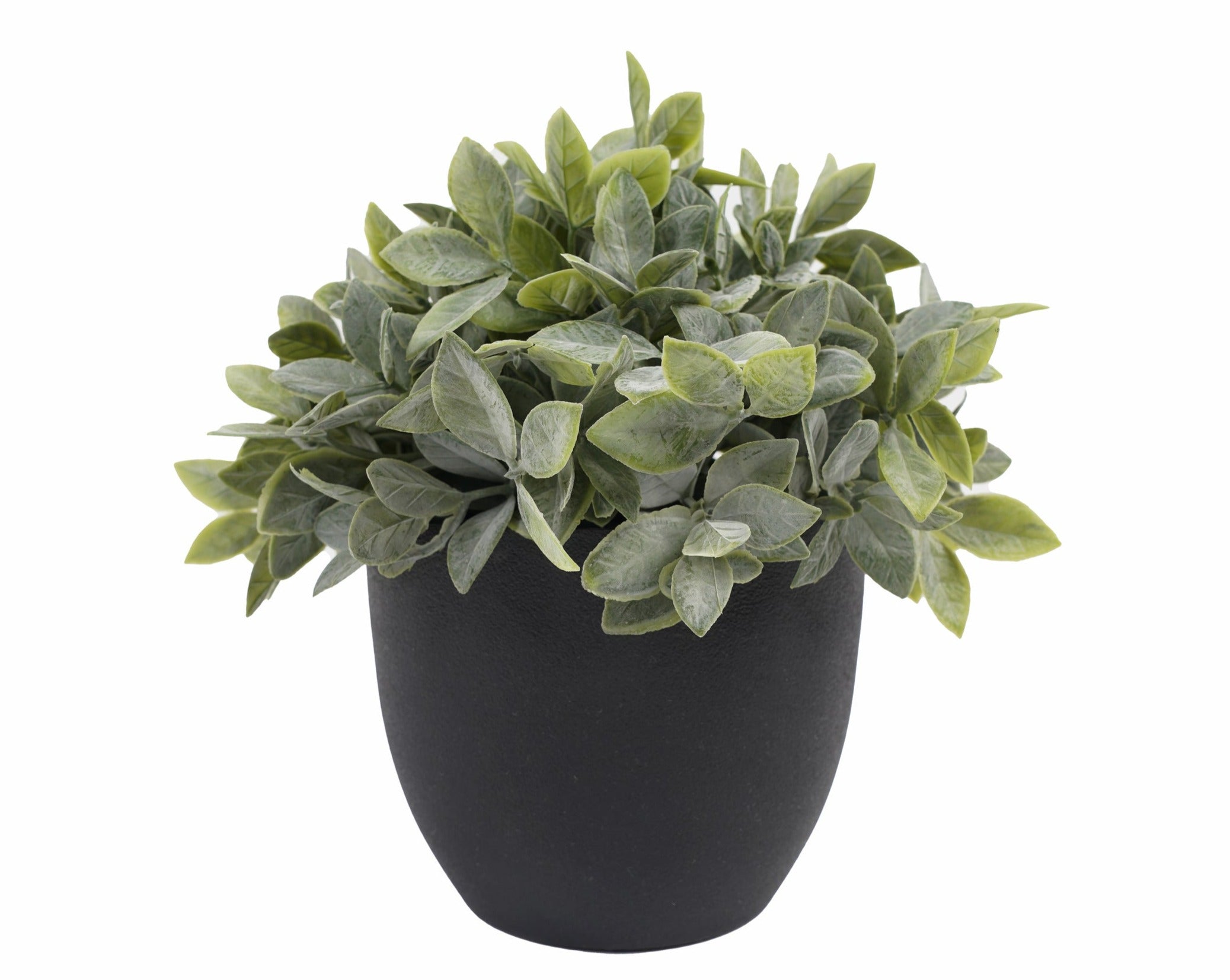 PLANTA VERDE (20cms.)
