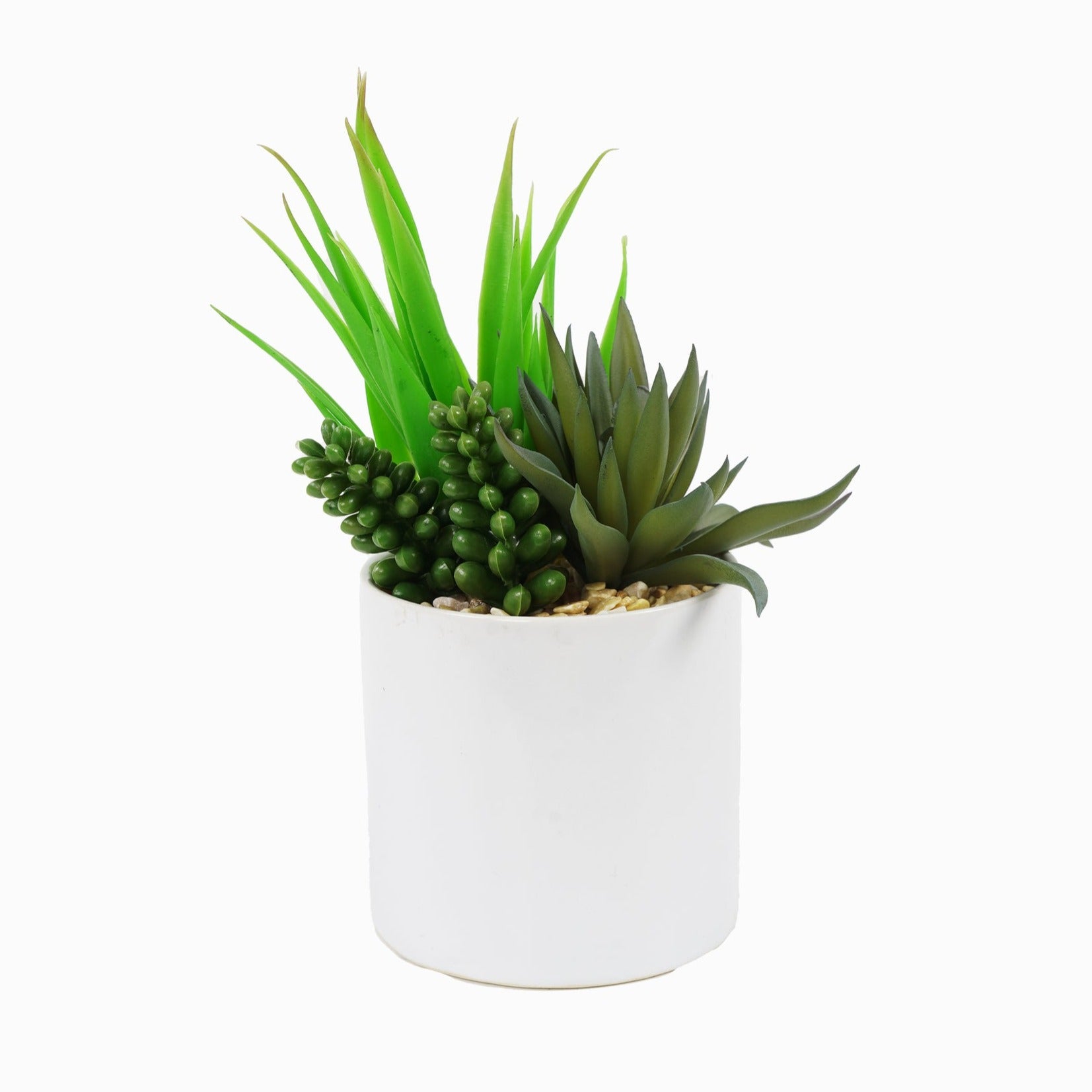 Suculenta artificial