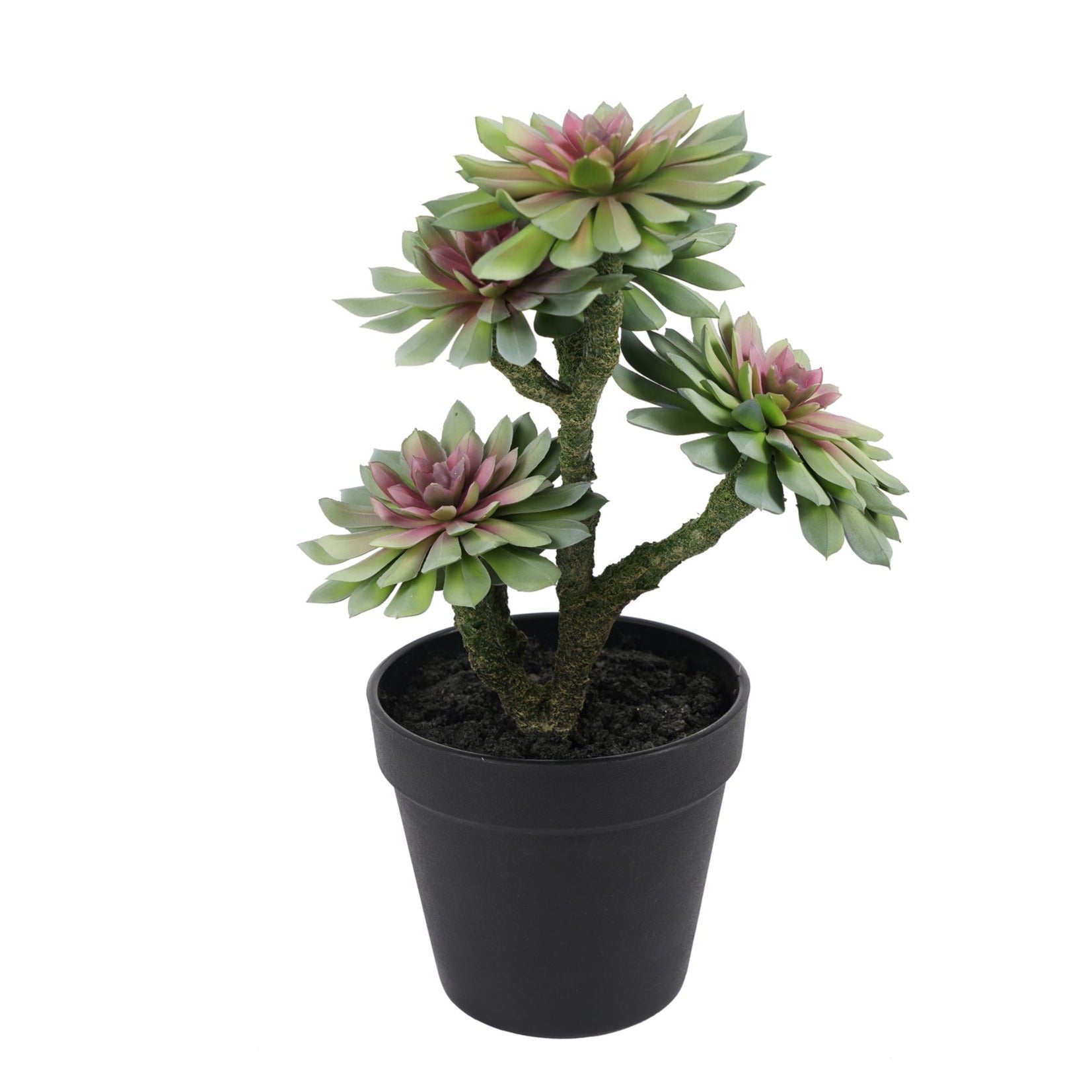 Suculenta artificial