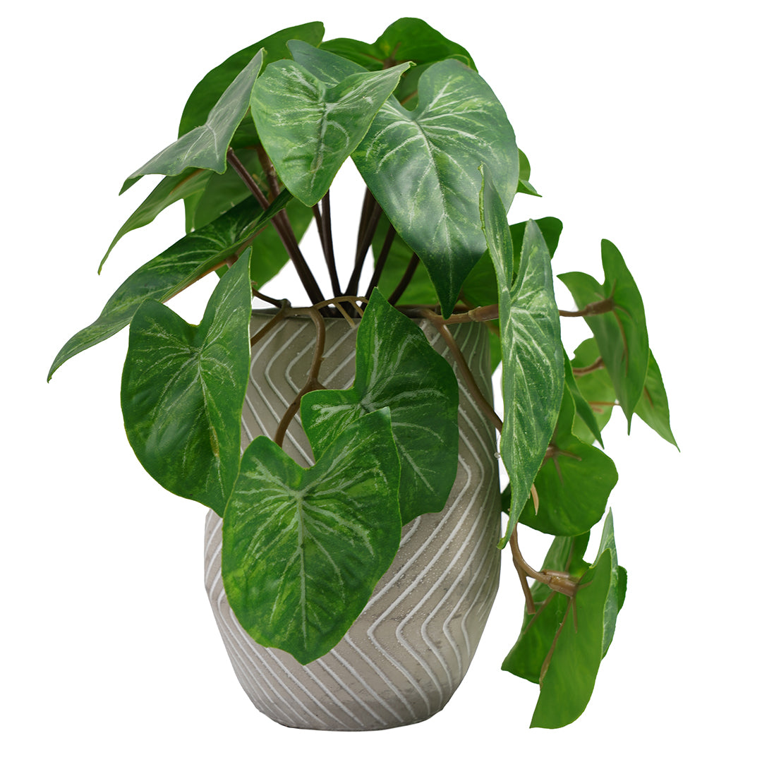 TARO | MACETERO (21 cms.)