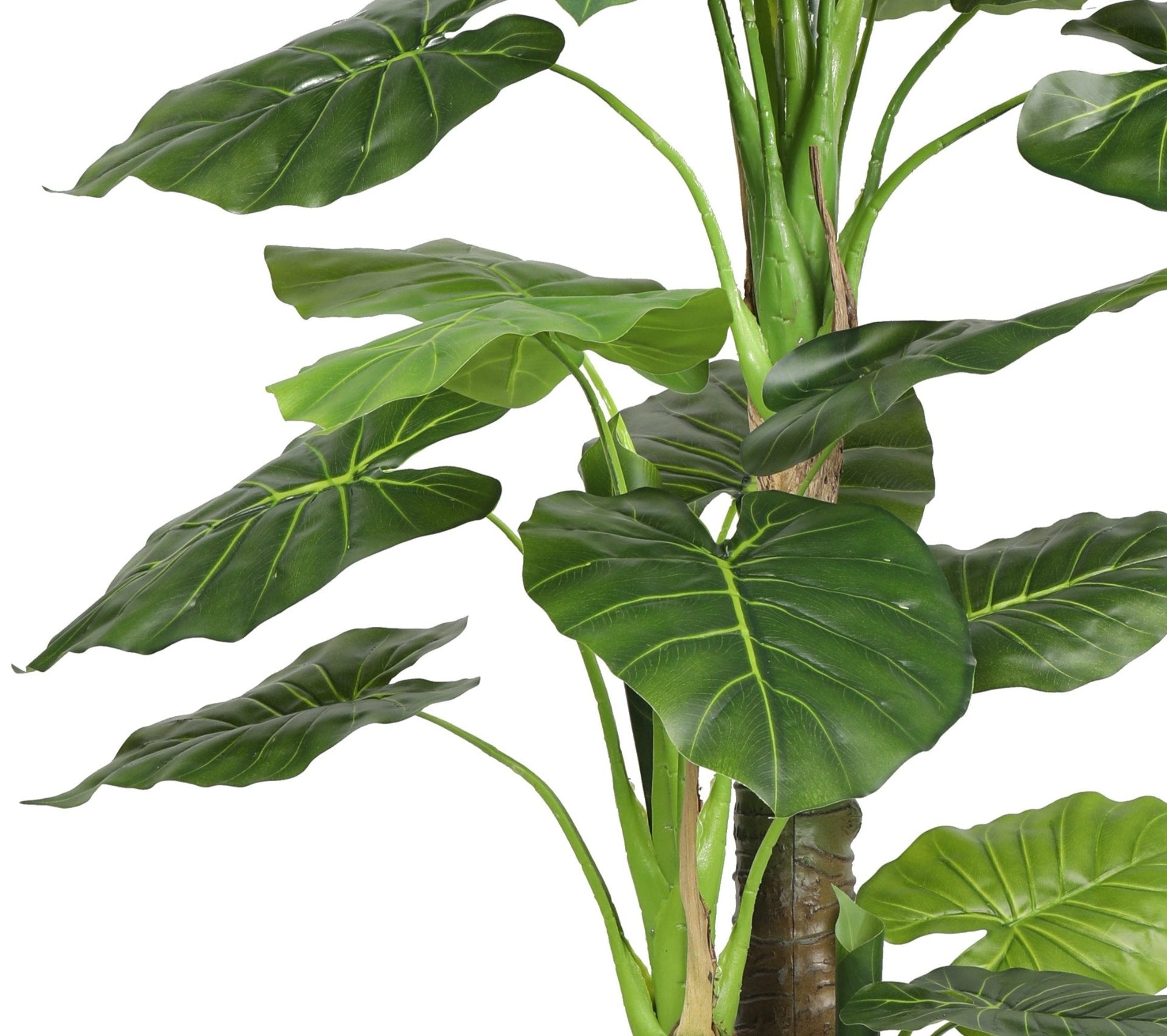 Planta taro artificial