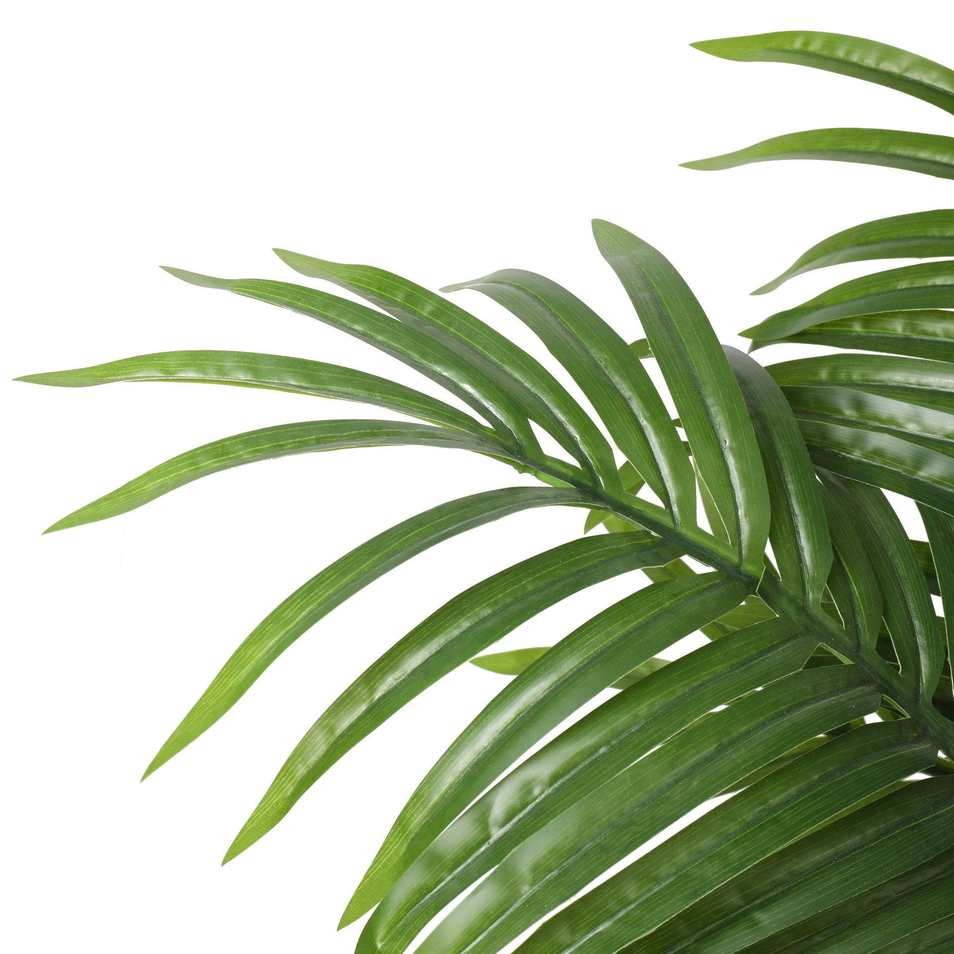 Palmera 190cms.